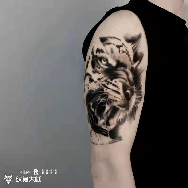 老虎_纹身图案手稿图片_耀扬的纹身作品集