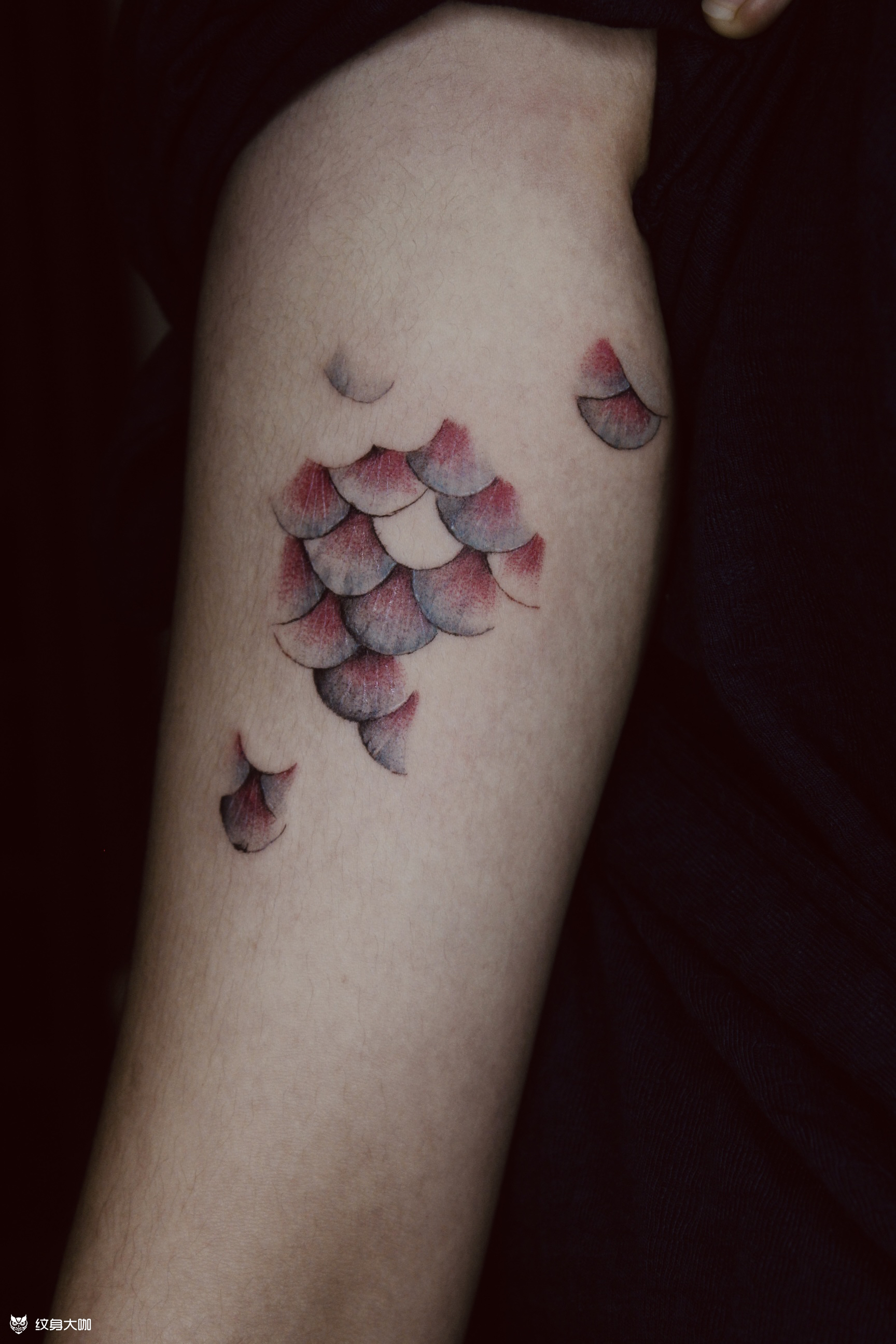 写实美人鱼鳞片_纹身图案手稿图片_kui的纹身作品集