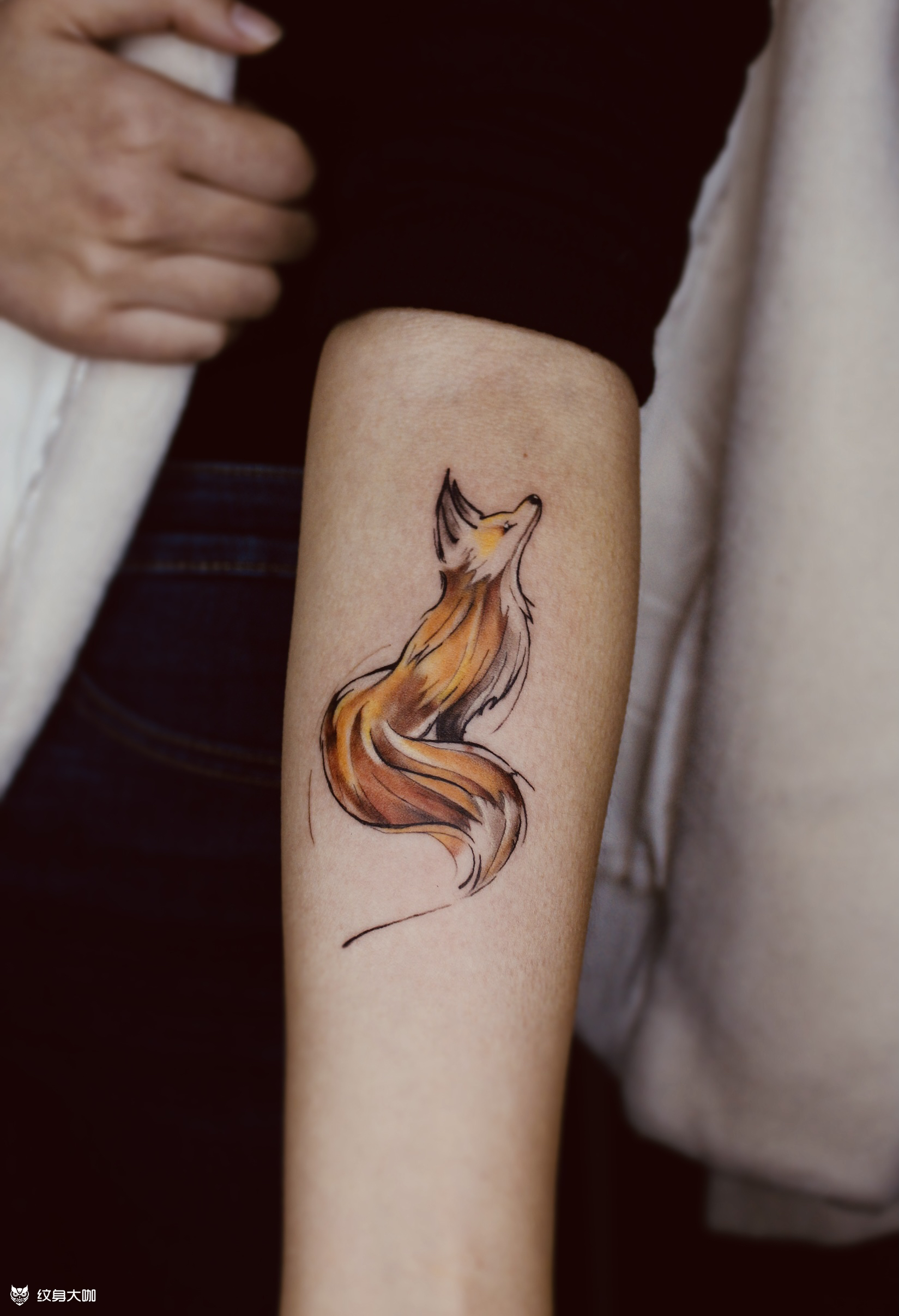 水墨狐狸_纹身图案手稿图片_kui的纹身作品集