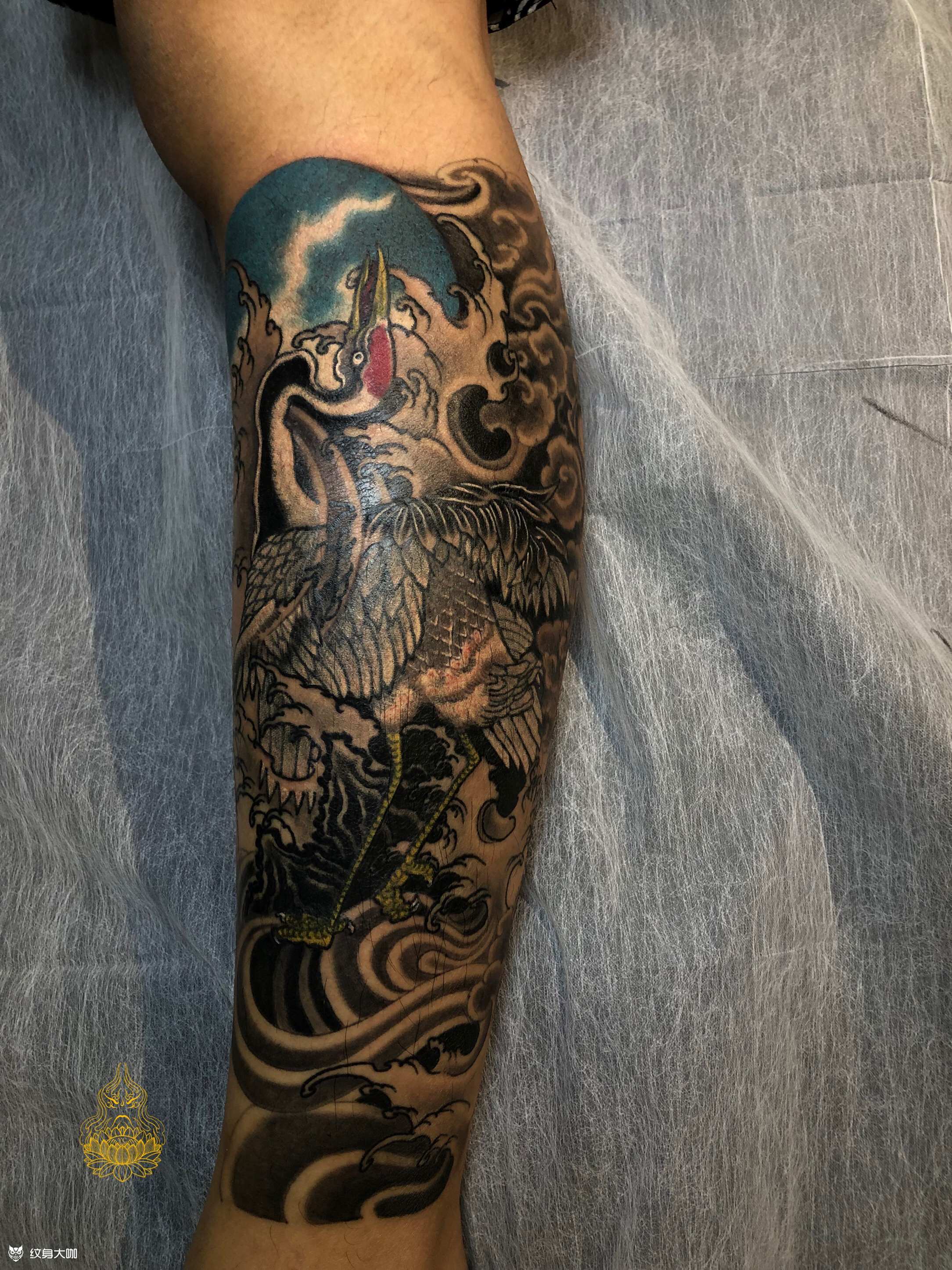 小腿 鹤_纹身图案手稿图片_yc·tattoo老胡 妍刺的纹身作品集