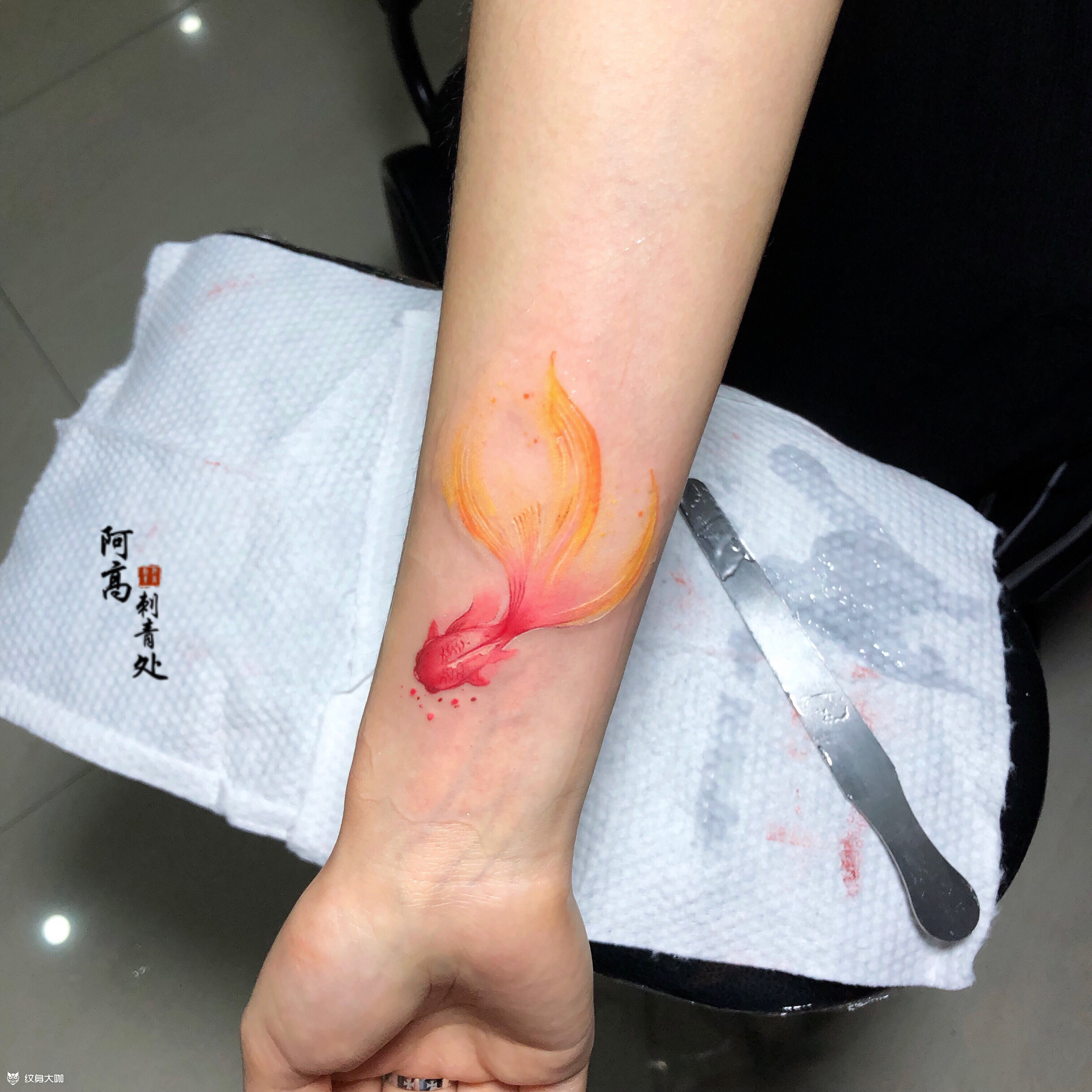 水彩金鱼_纹身图案手稿图片_阿高的纹身作品集