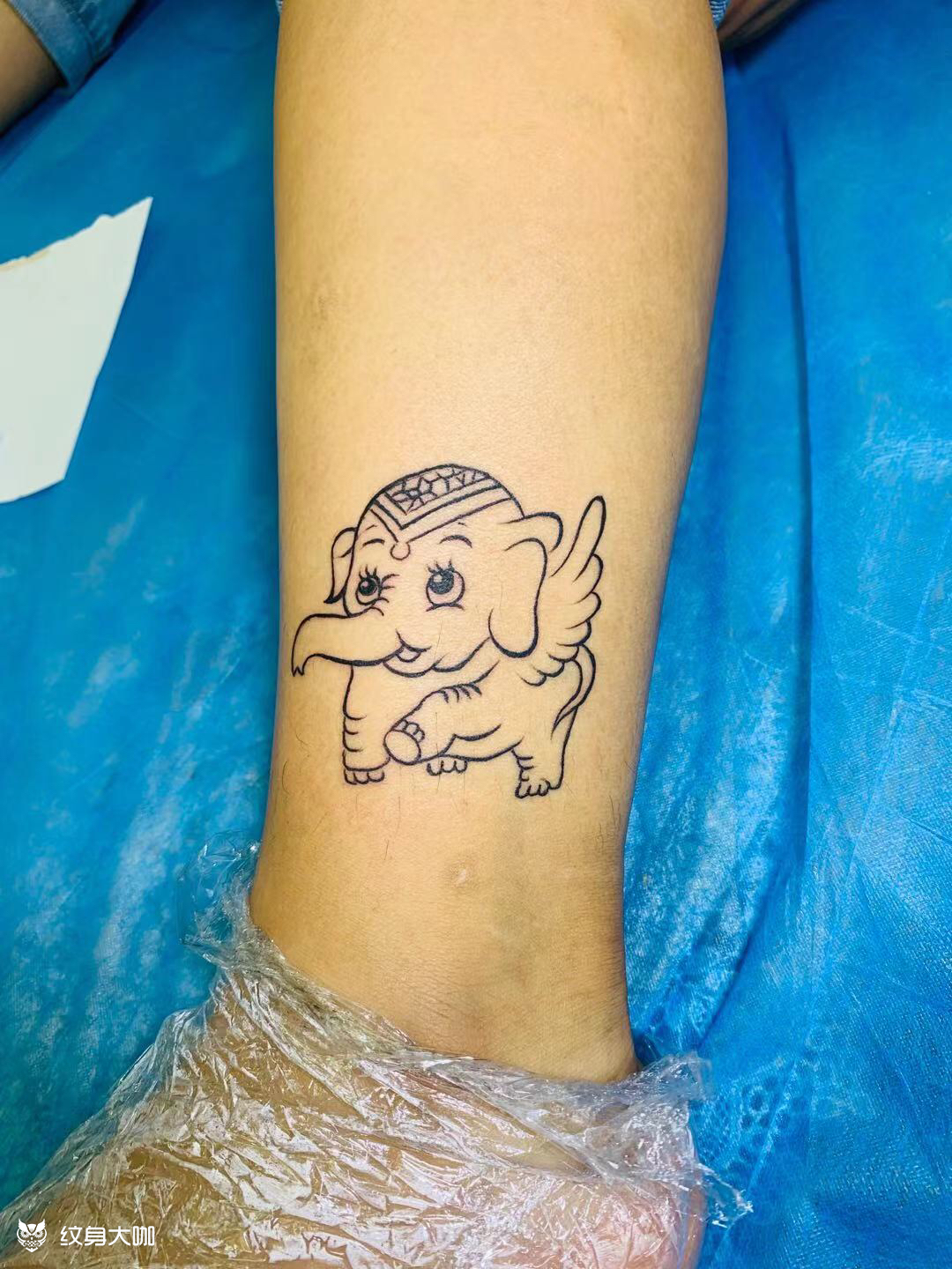 小飞象_纹身吧社区 - 纹身大咖