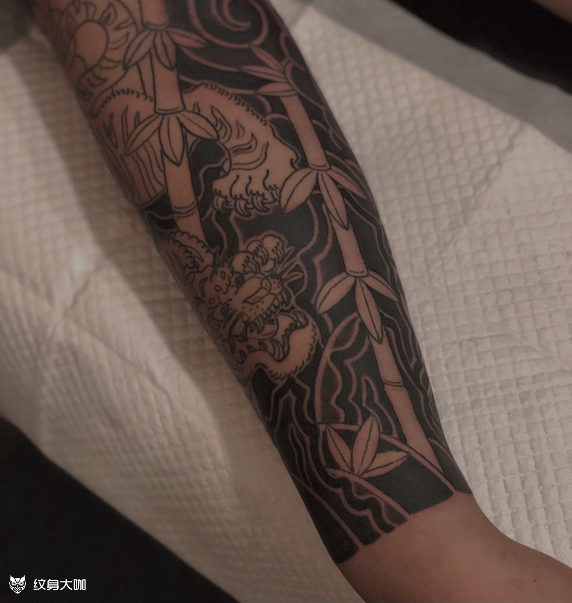 猛虎下山_纹身图案手稿图片_峰子的纹身作品集