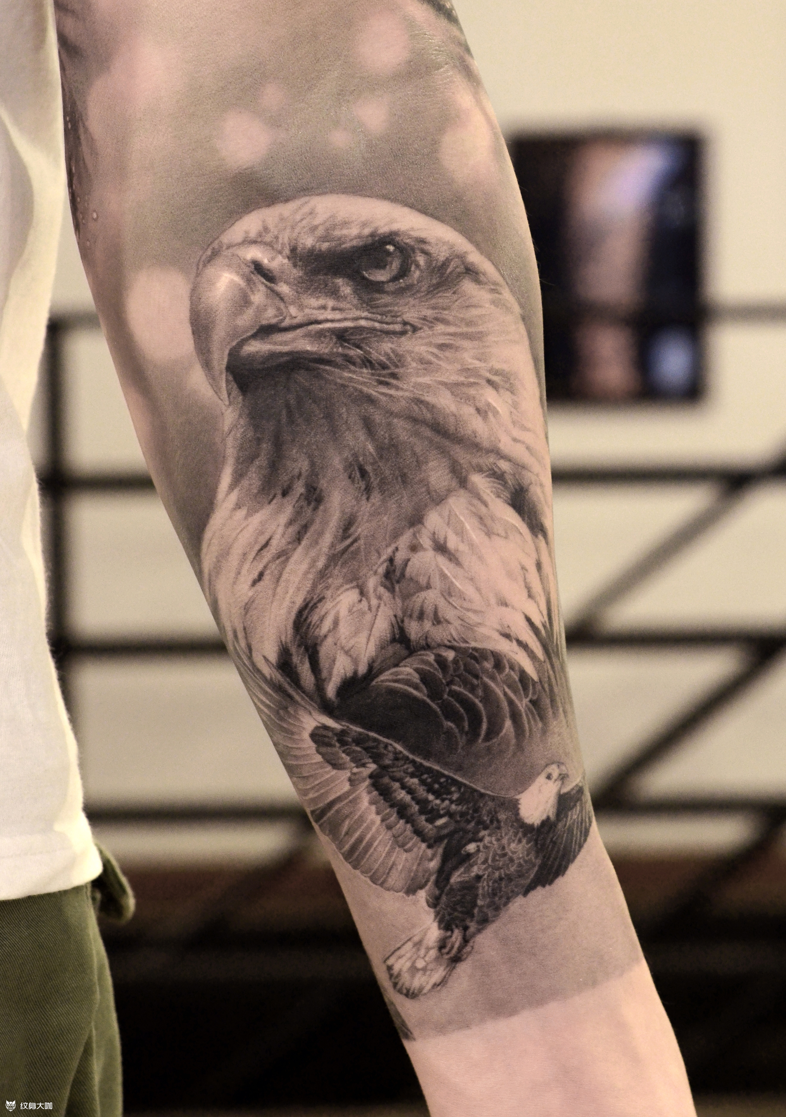 老鹰_纹身图案手稿图片_天予杨丽华的纹身作品集