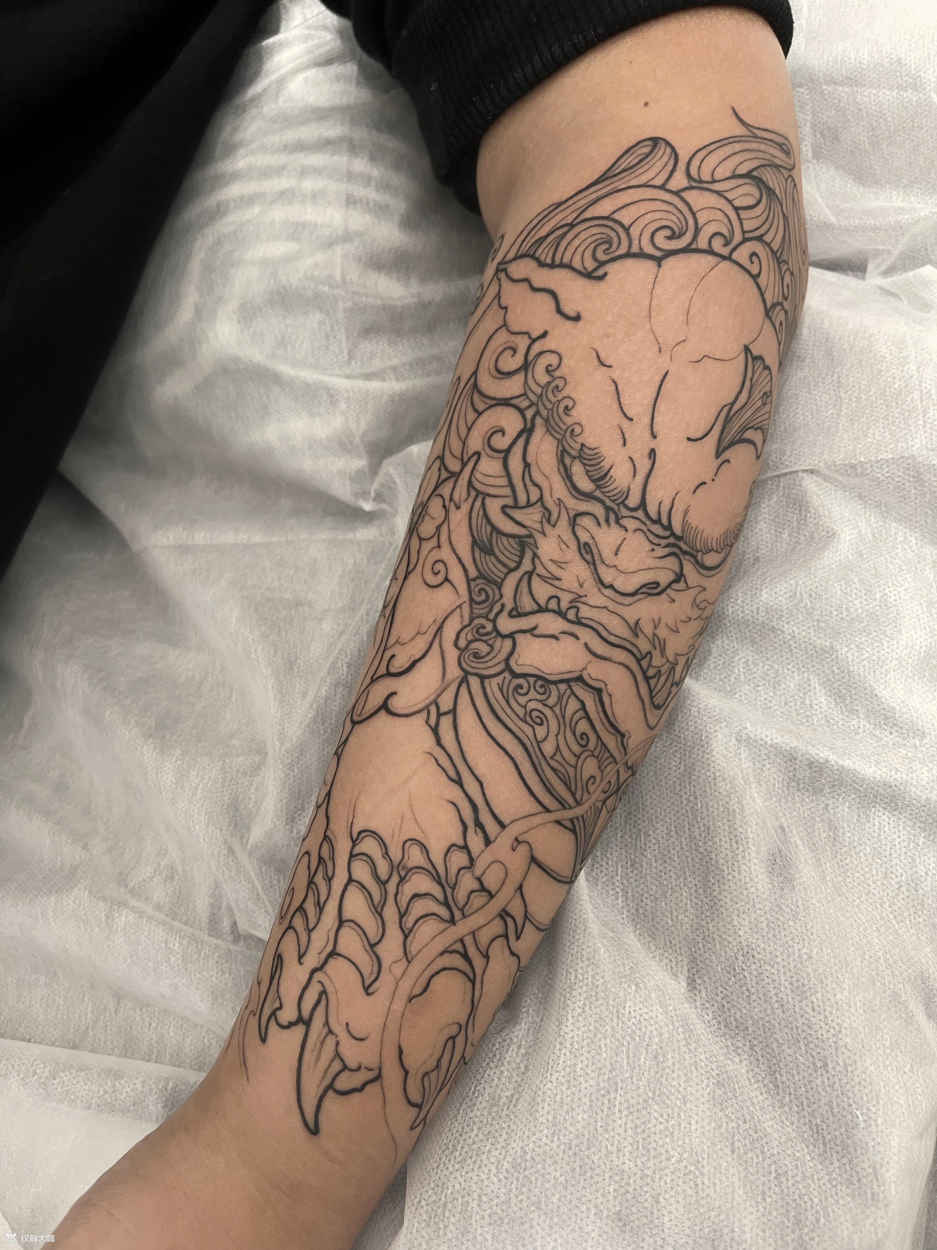 唐狮包小臂割线.外侧唐狮,里_纹身吧社区 - 纹身大咖