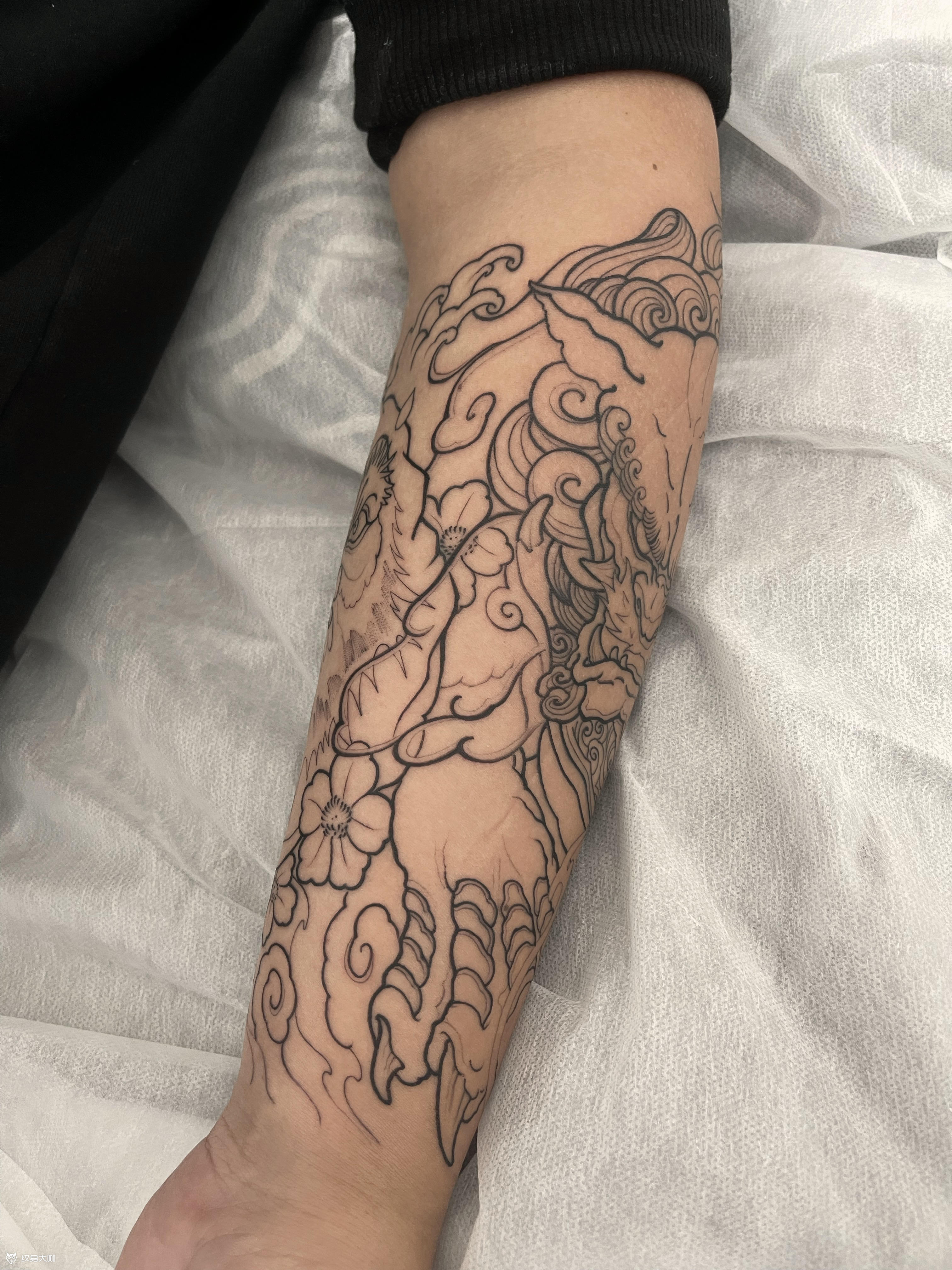 唐狮包小臂割线.外侧唐狮,里_纹身吧社区 - 纹身大咖
