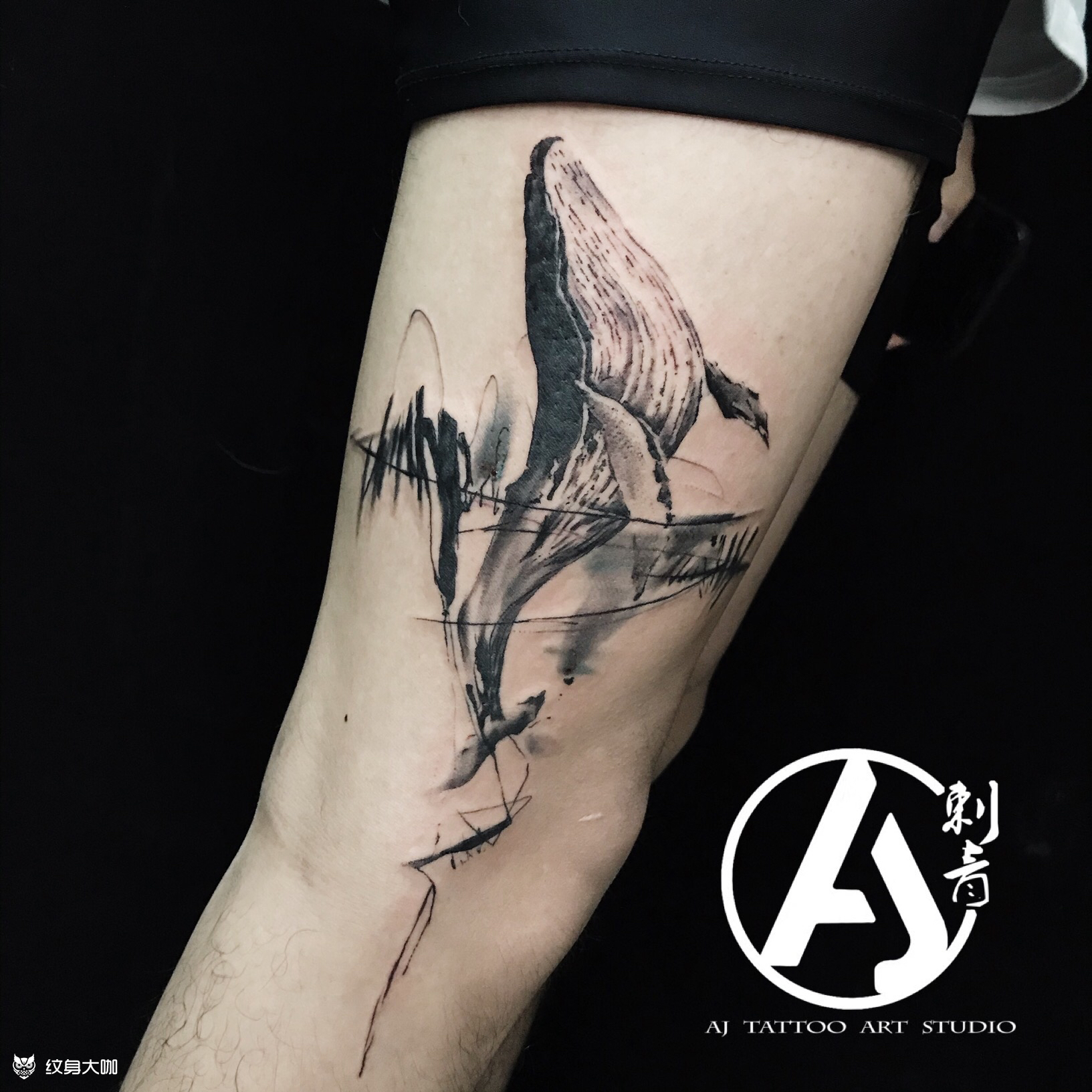 水墨鲸鱼_纹身图案手稿图片_开平aj「超皮秒洗纹」的纹身作品集