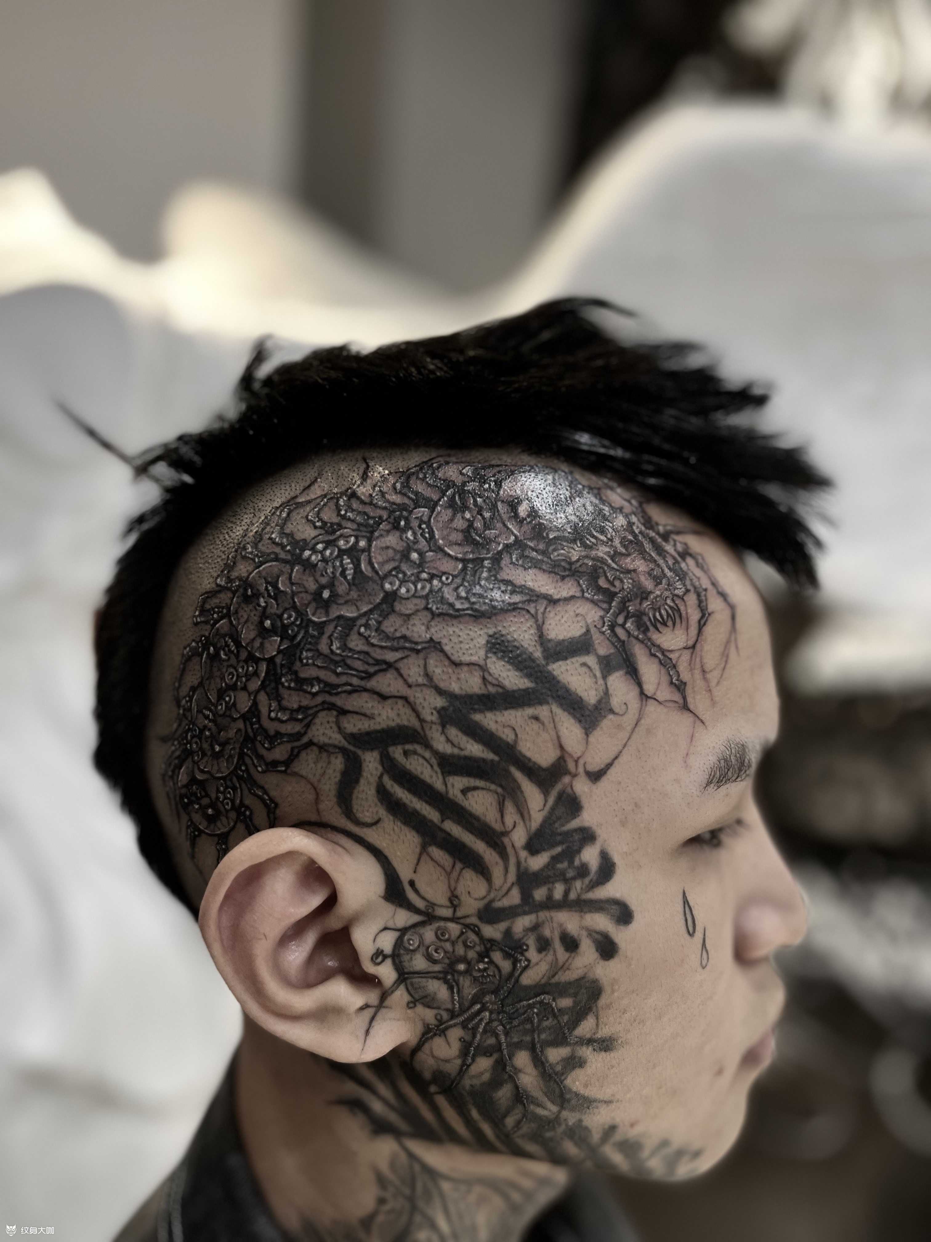 暗黑写实蜈蚣_纹身吧社区 - 纹身大咖