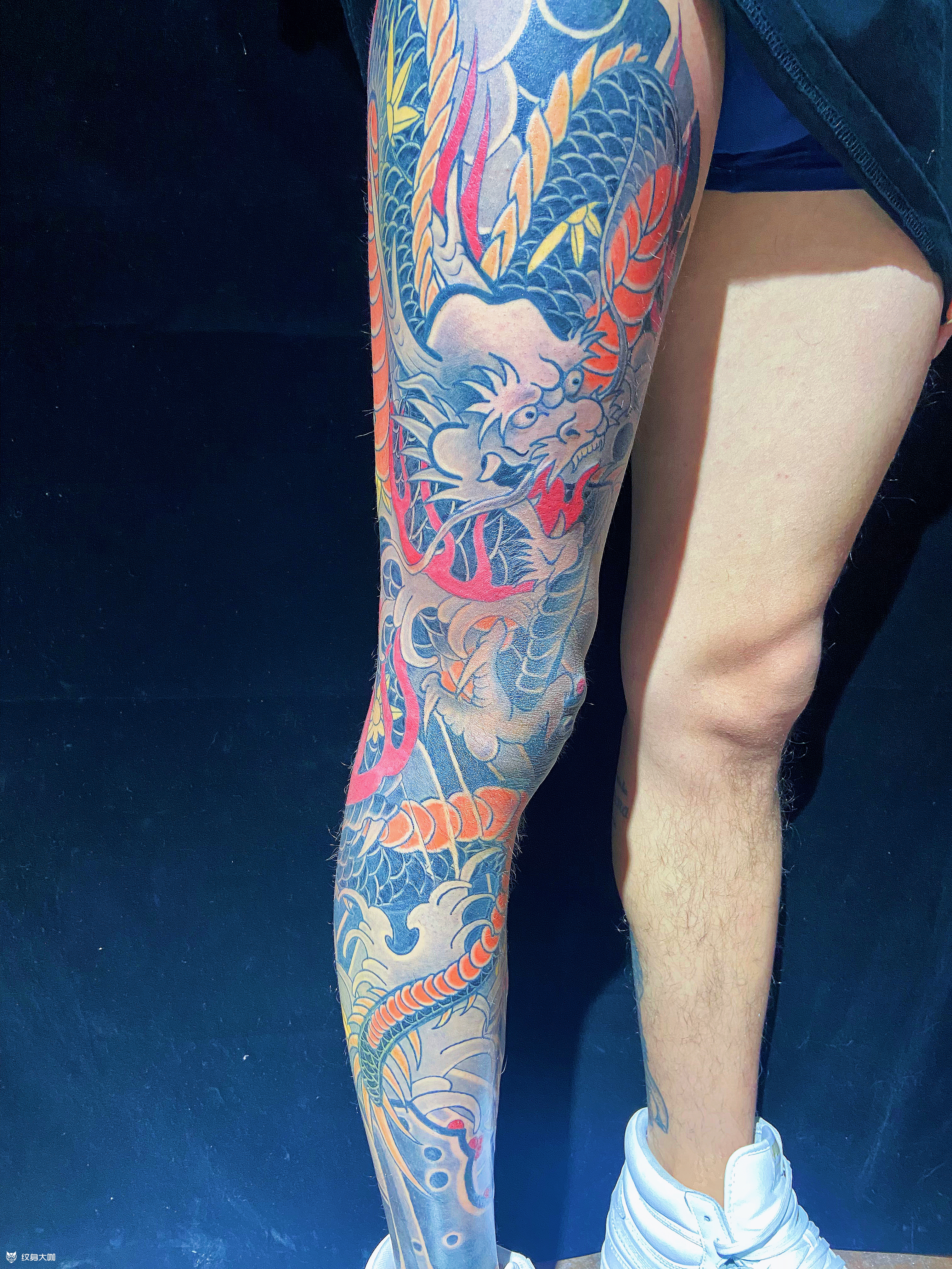 老传统盘龙腿_纹身图案手稿图片_杨兄的纹身作品集