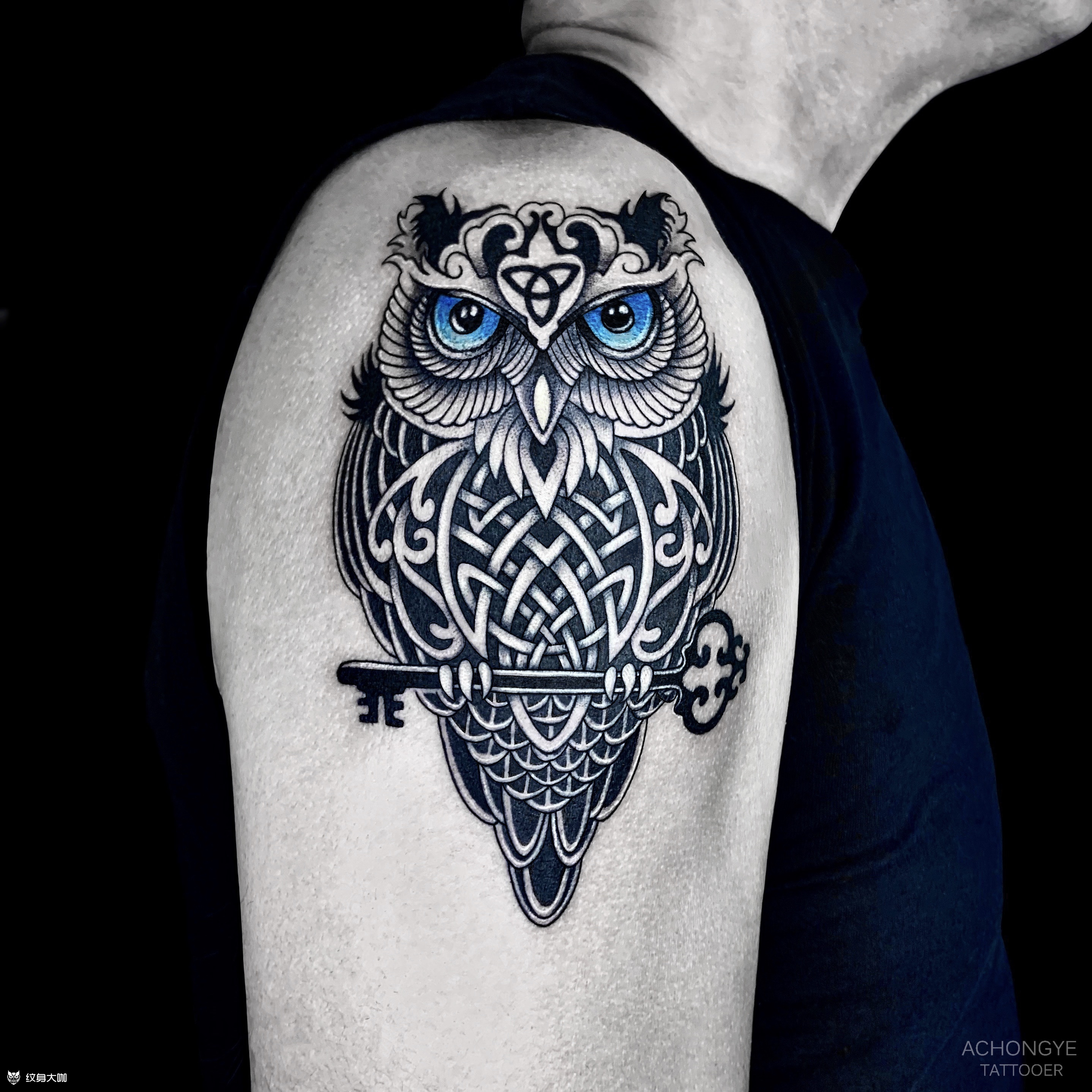 作品简介:● 猫头鹰纹身 010101