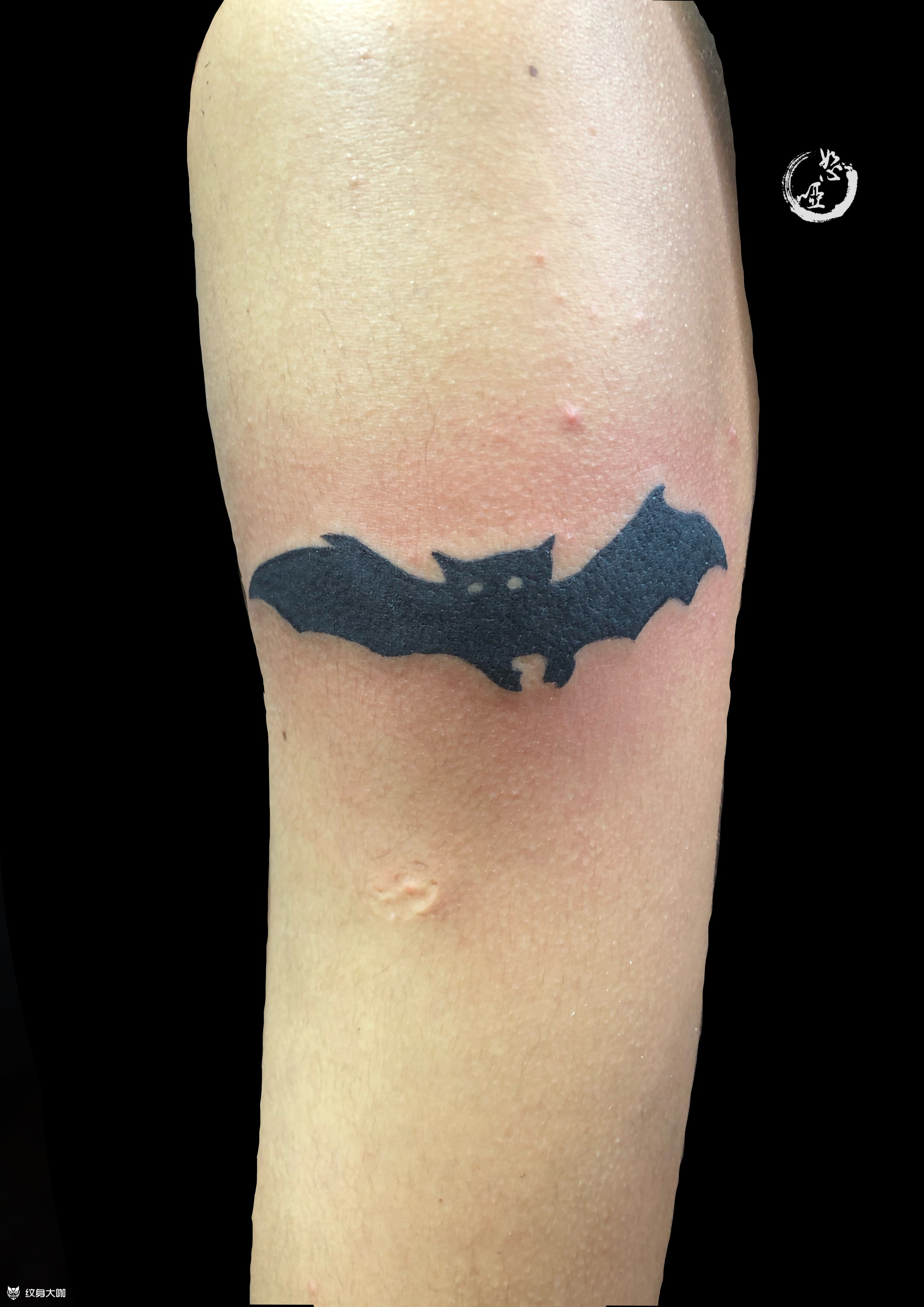 小蝙蝠_纹身图案手稿图片_恕哑的纹身作品集