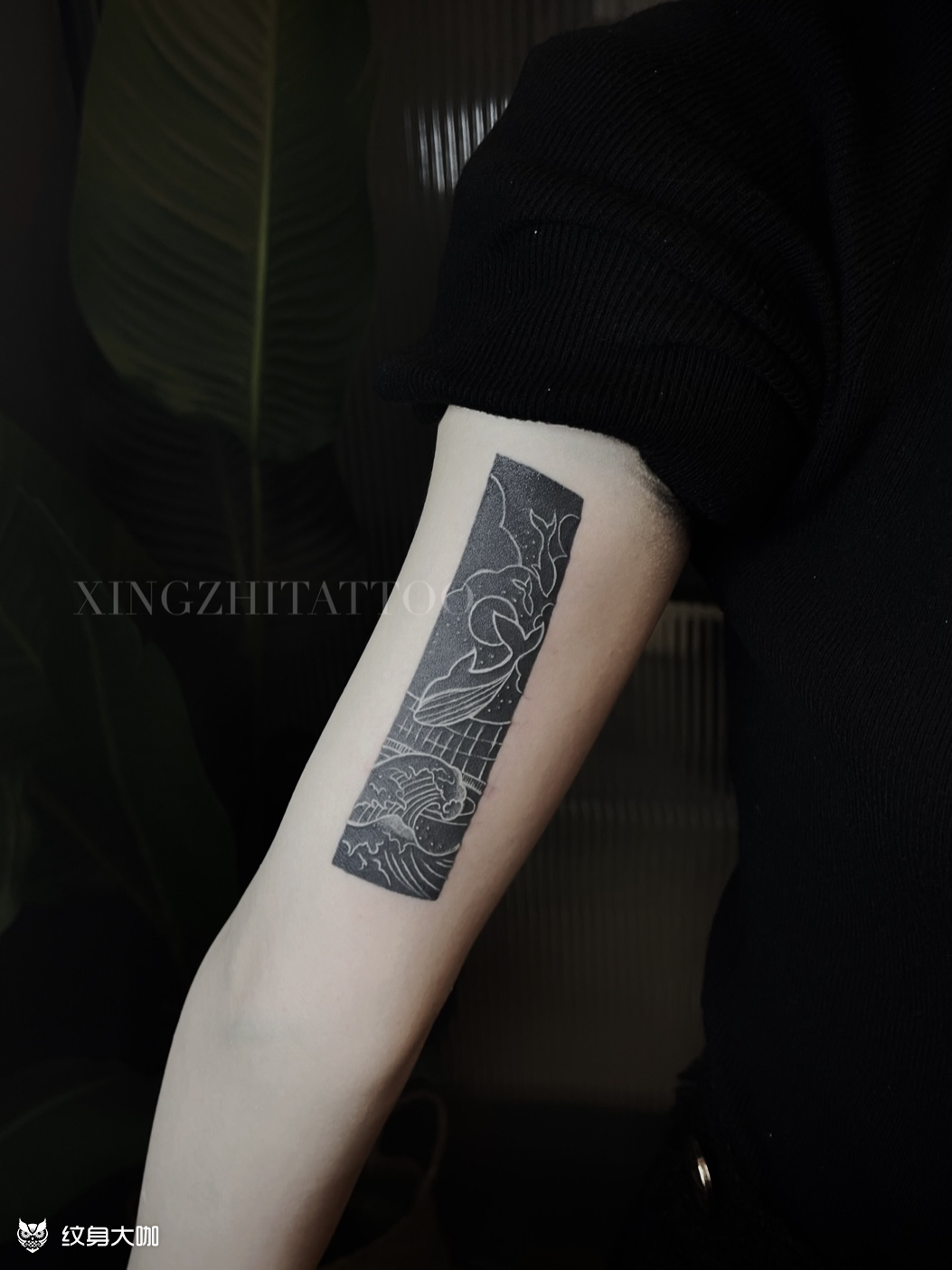 涂黑 提白_纹身图案手稿图片_波克比的纹身作品集