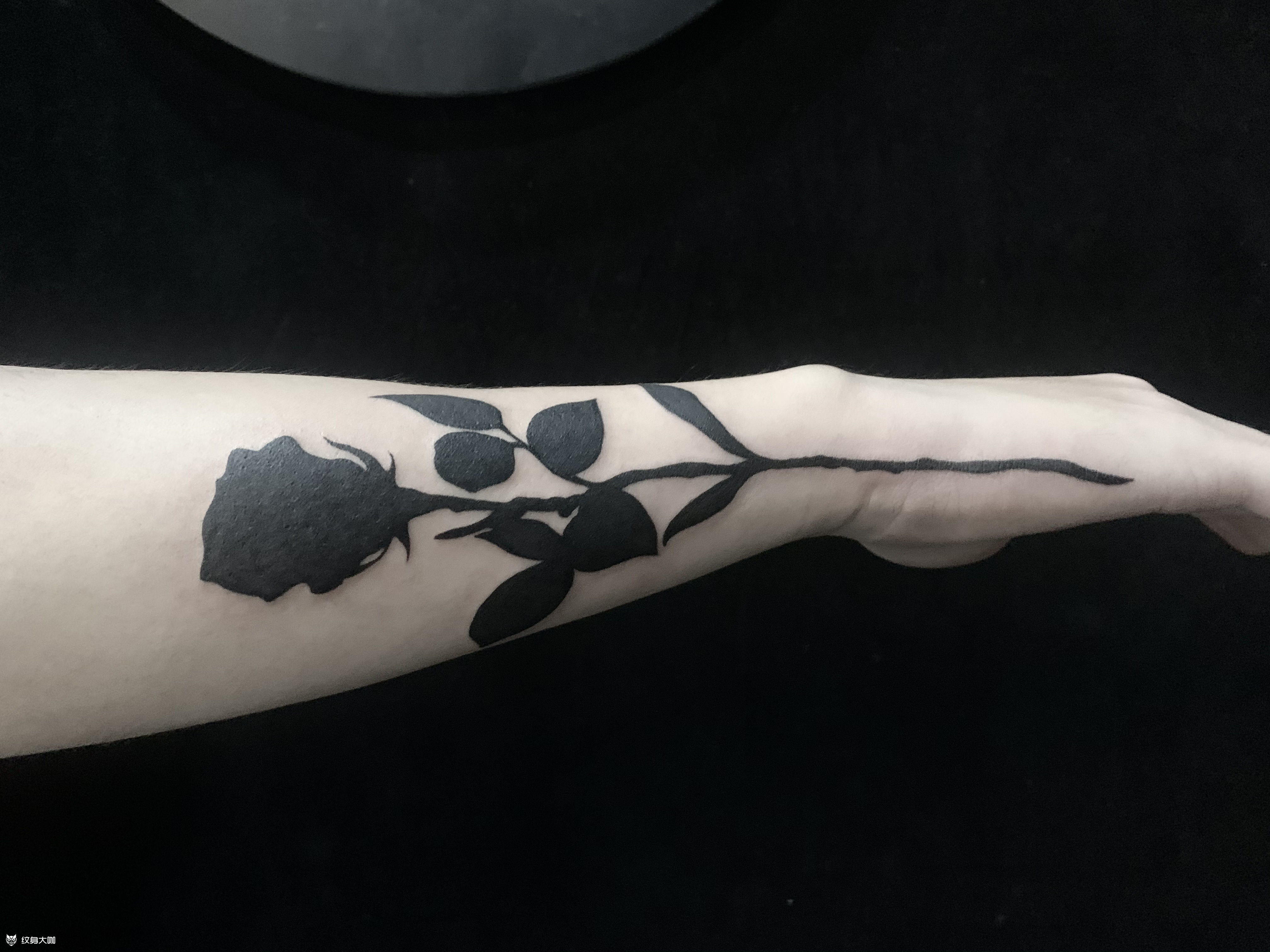 玫瑰花_纹身吧社区 - 纹身大咖