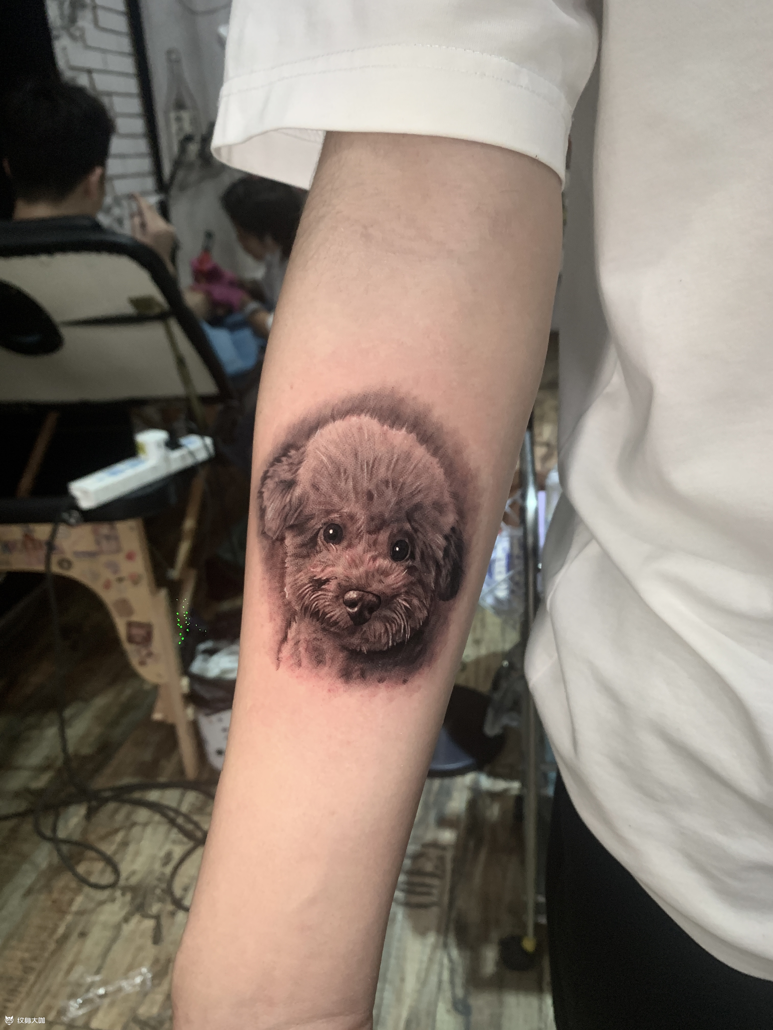 小泰迪_纹身图案手稿图片_刘邦的纹身作品集