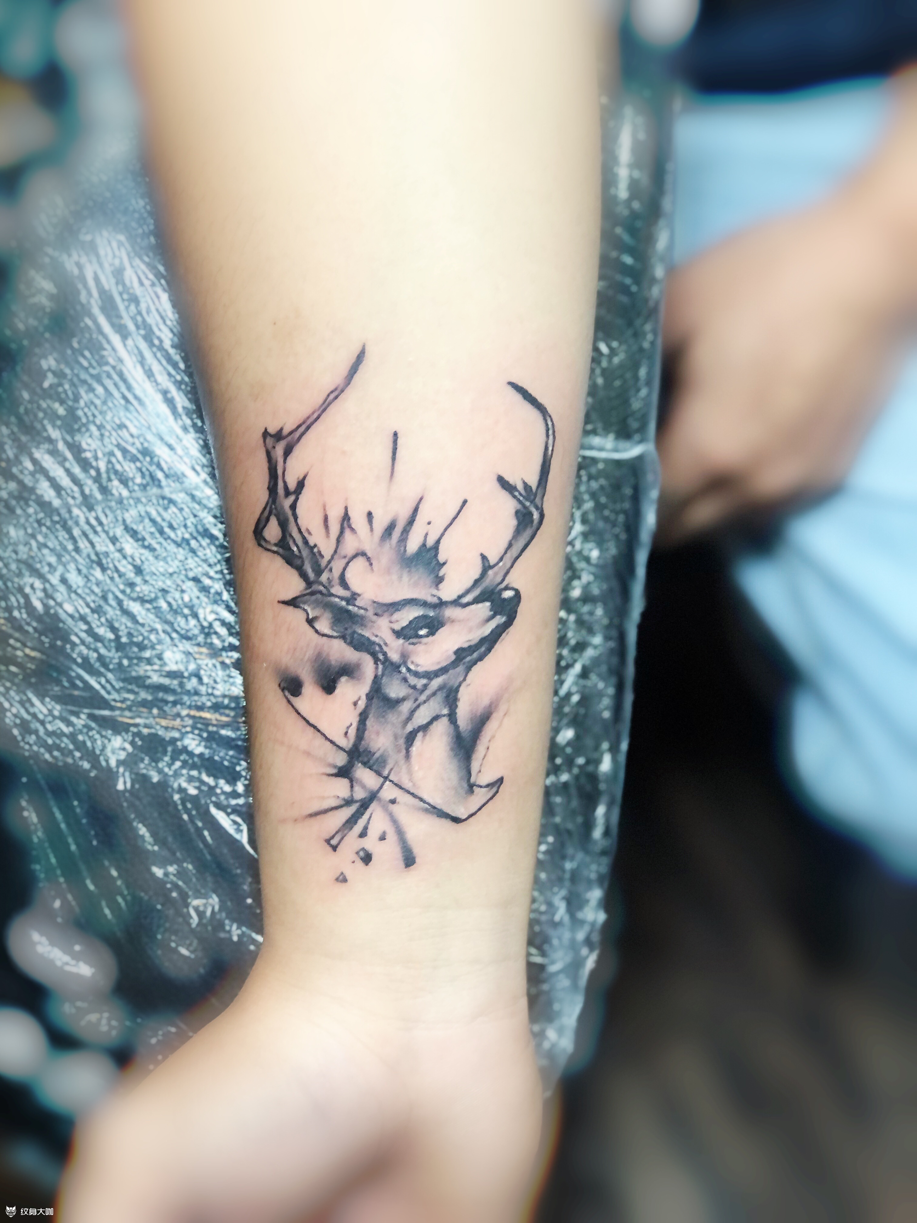 鹿头一枚_纹身吧社区 - 纹身大咖
