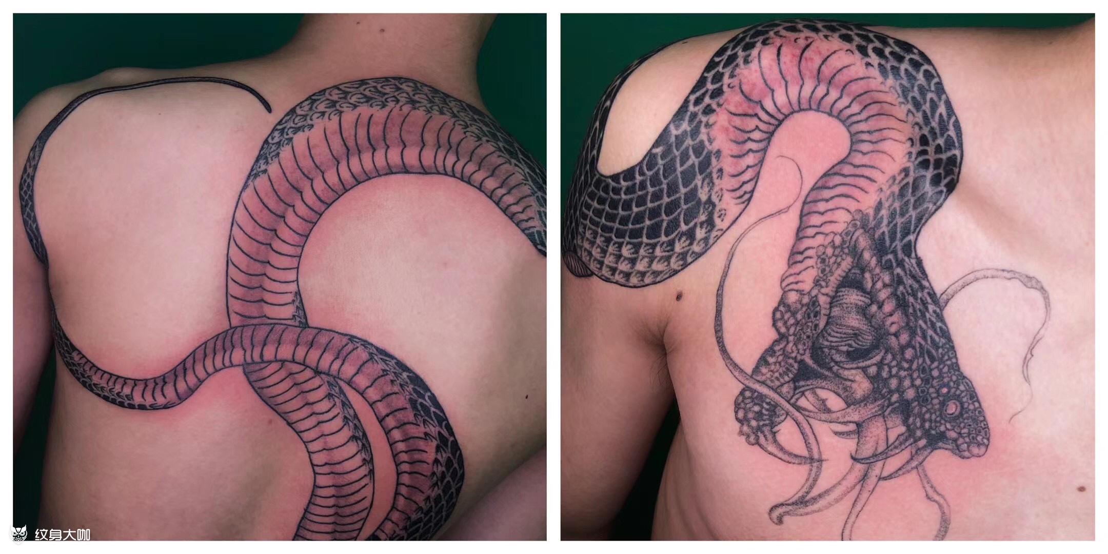 蛇_纹身吧社区 - 纹身大咖