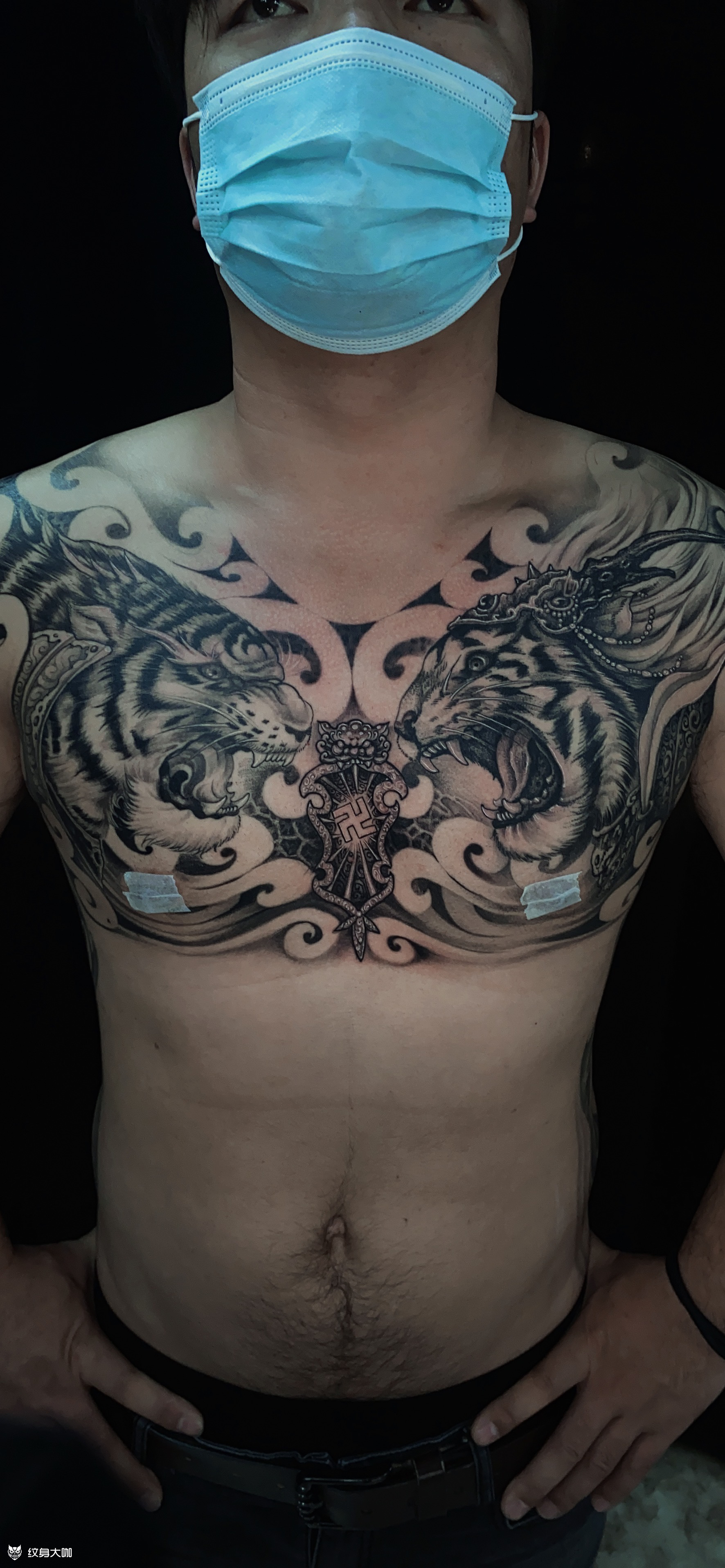 马涛刺青#老虎纹身#刺青#_纹身吧社区 - 纹身大咖