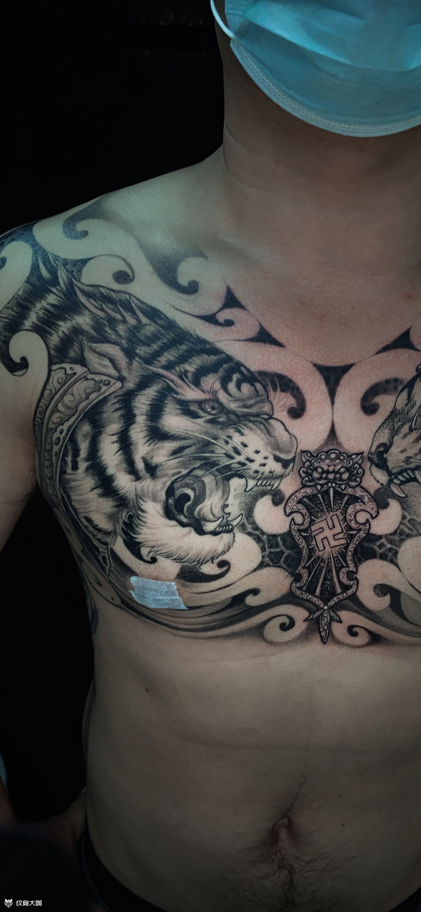马涛刺青#老虎纹身#刺青#_纹身吧社区 - 纹身大咖