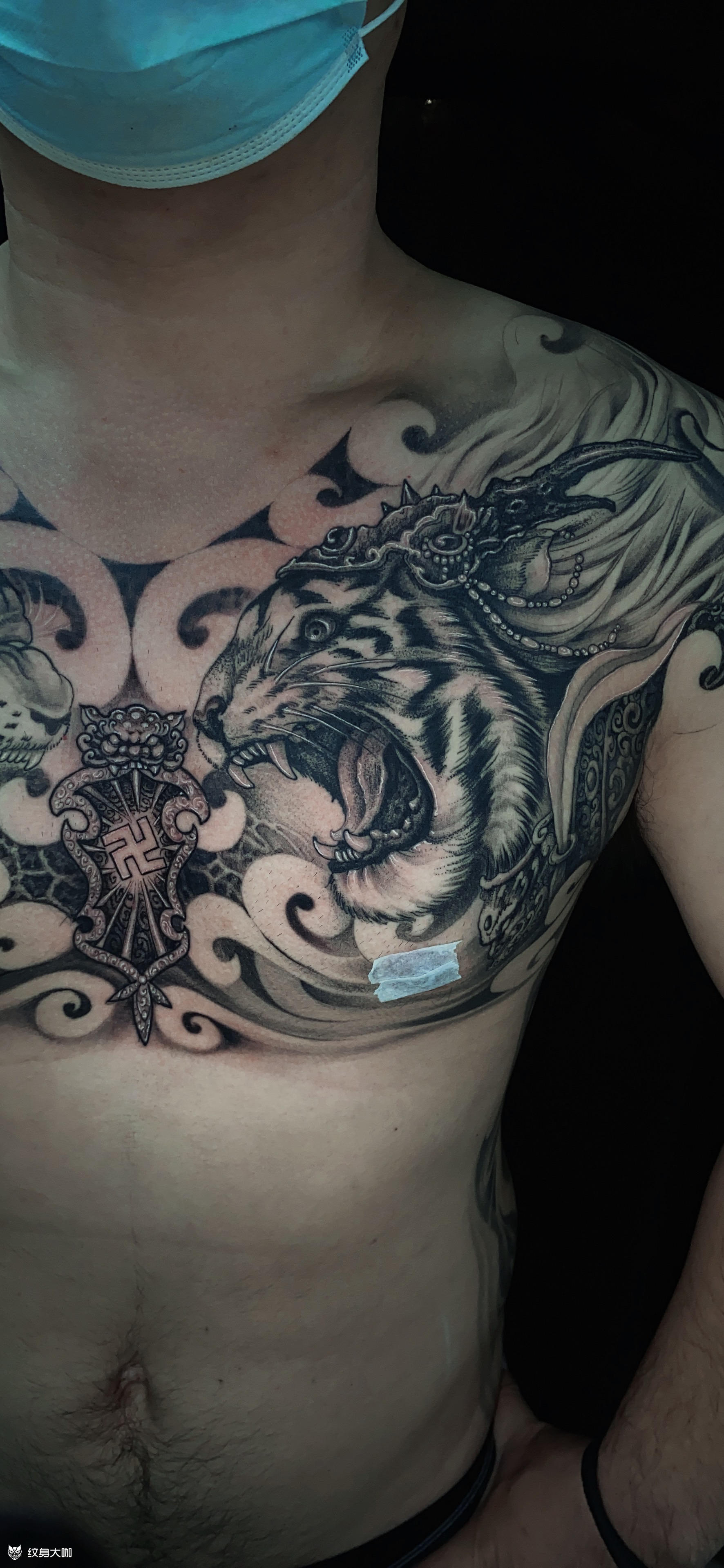 马涛刺青#老虎纹身#刺青#_纹身吧社区 - 纹身大咖