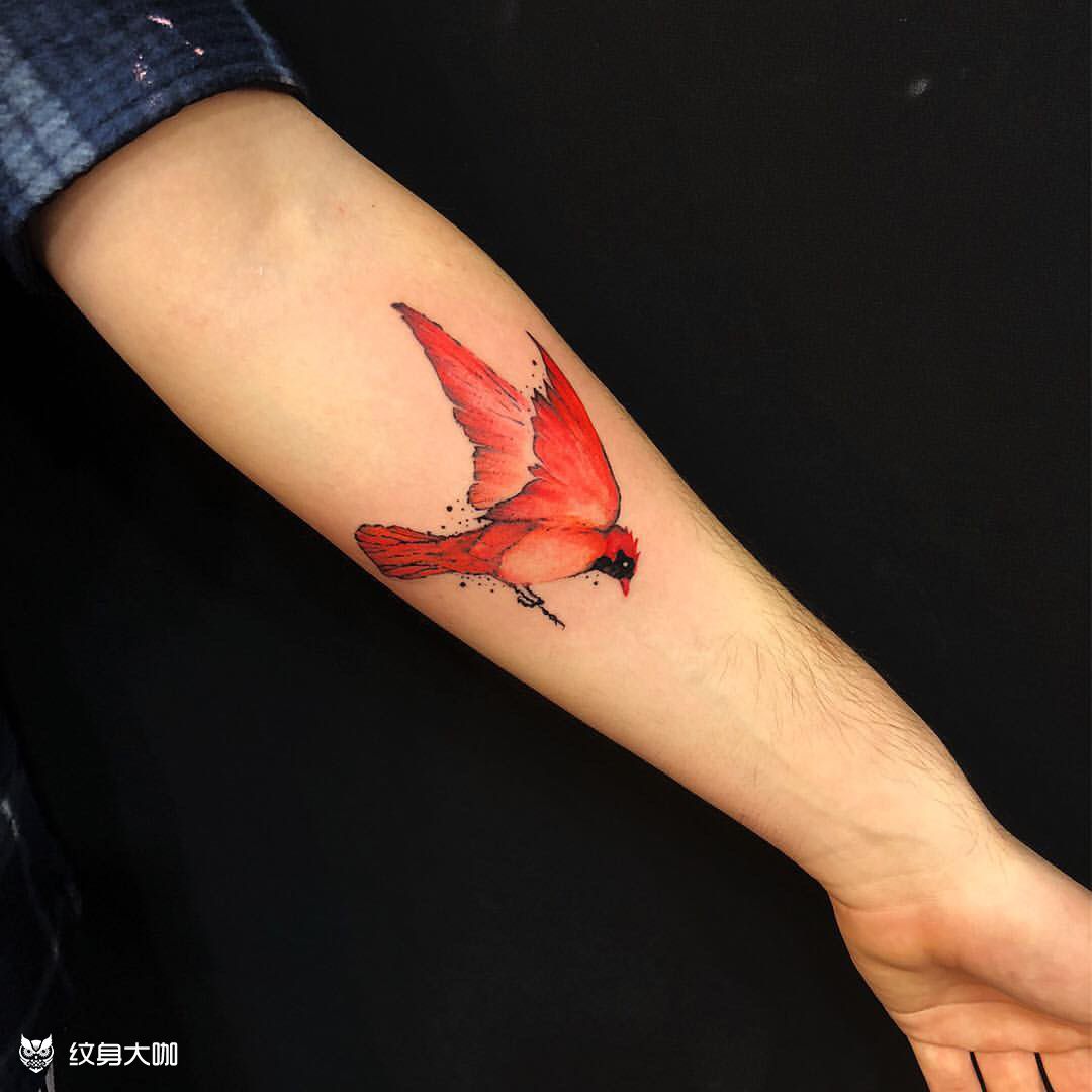 小火鸟_纹身图案手稿图片_扎男黄野的纹身作品集