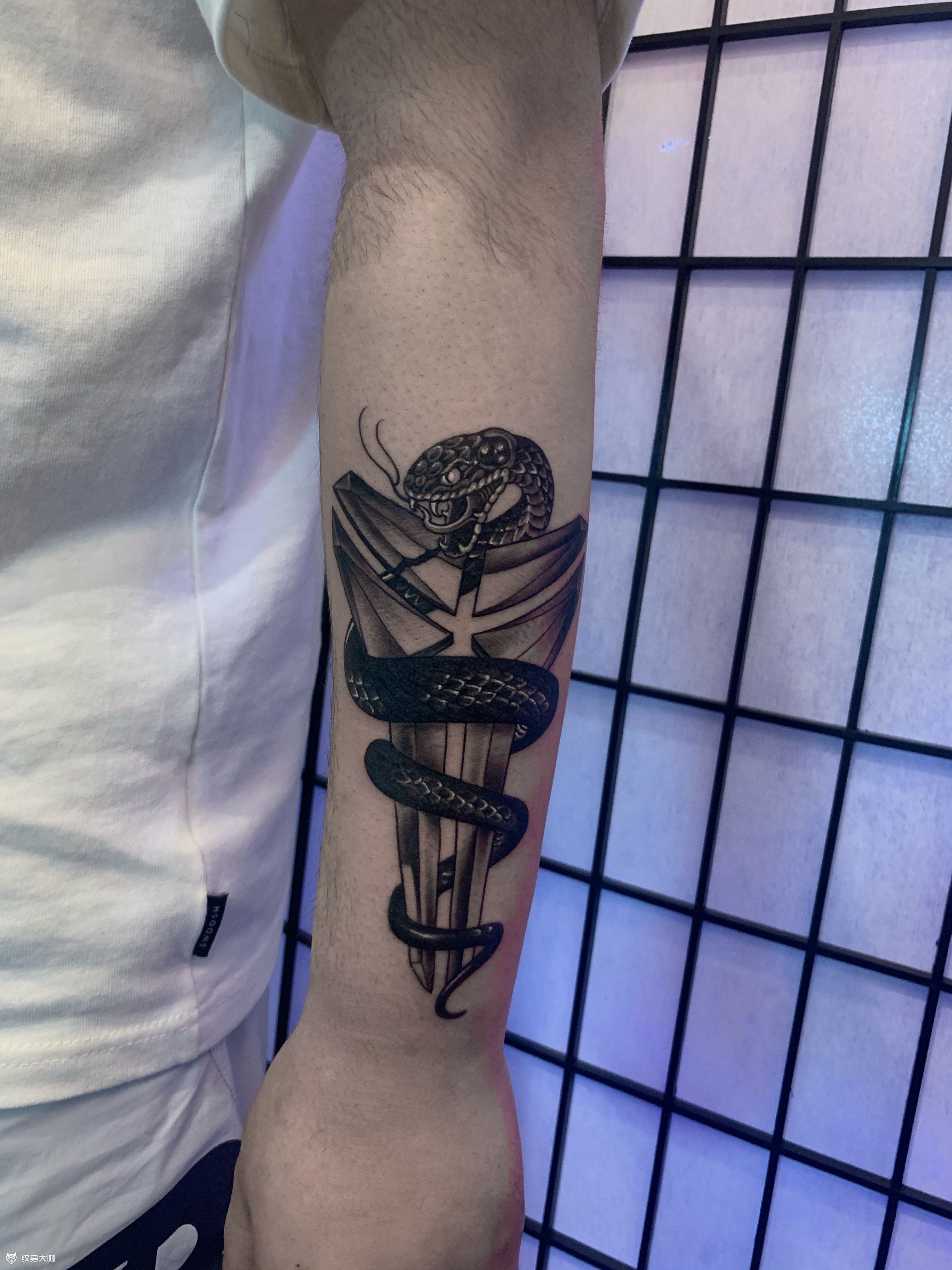 黑曼巴_纹身图案手稿图片_vx 471392979的纹身作品集