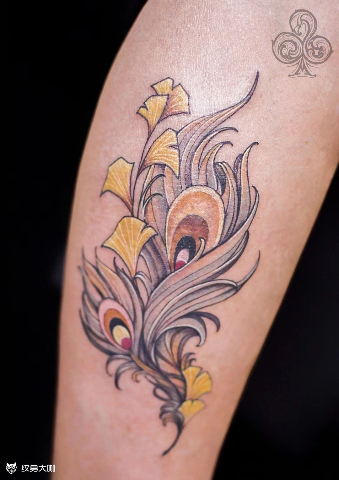飘逸孔雀翎_纹身图案手稿图片_小巫梅的纹身作品集