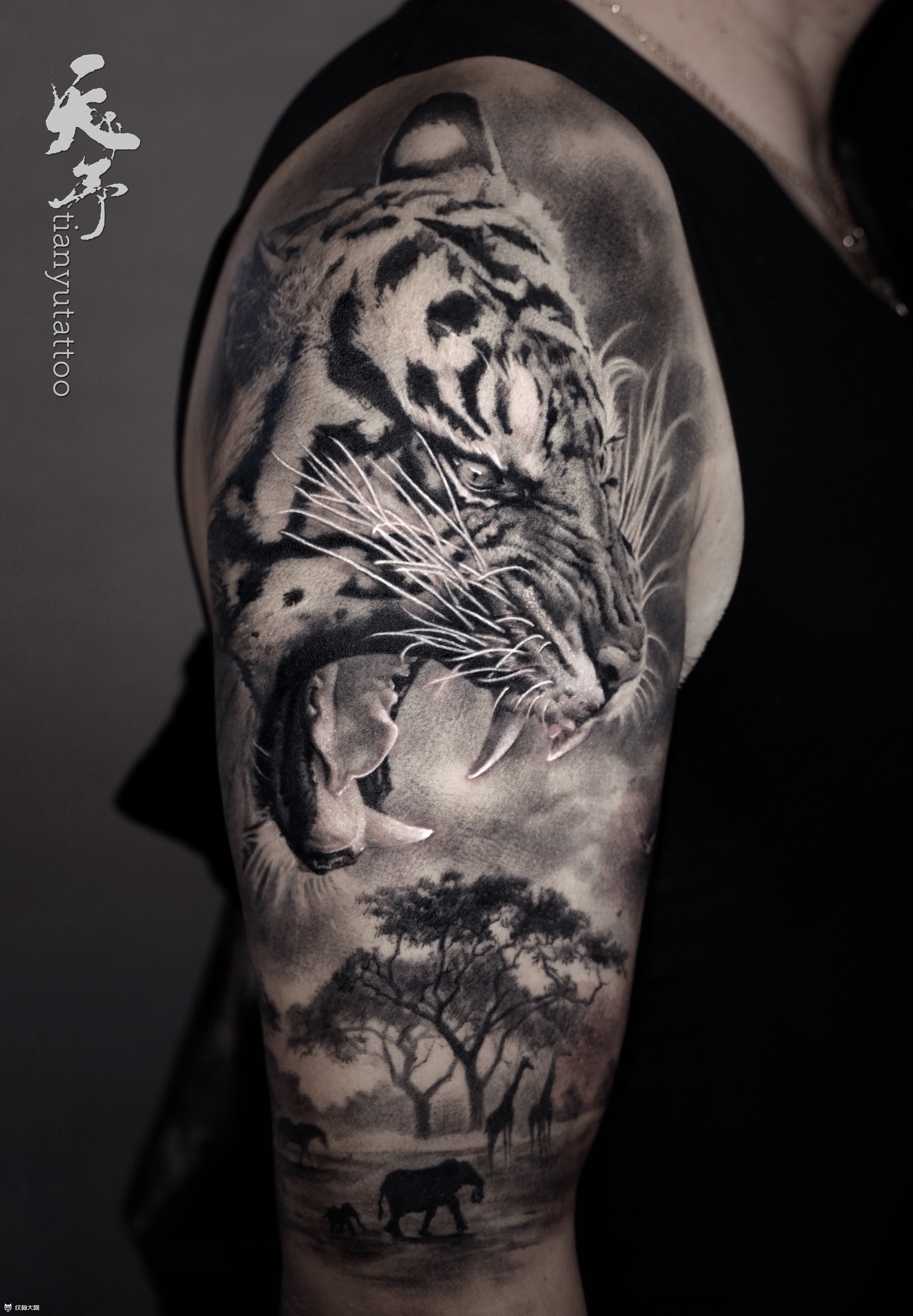 写实老虎_纹身图案手稿图片_天予杨丽华的纹身作品集