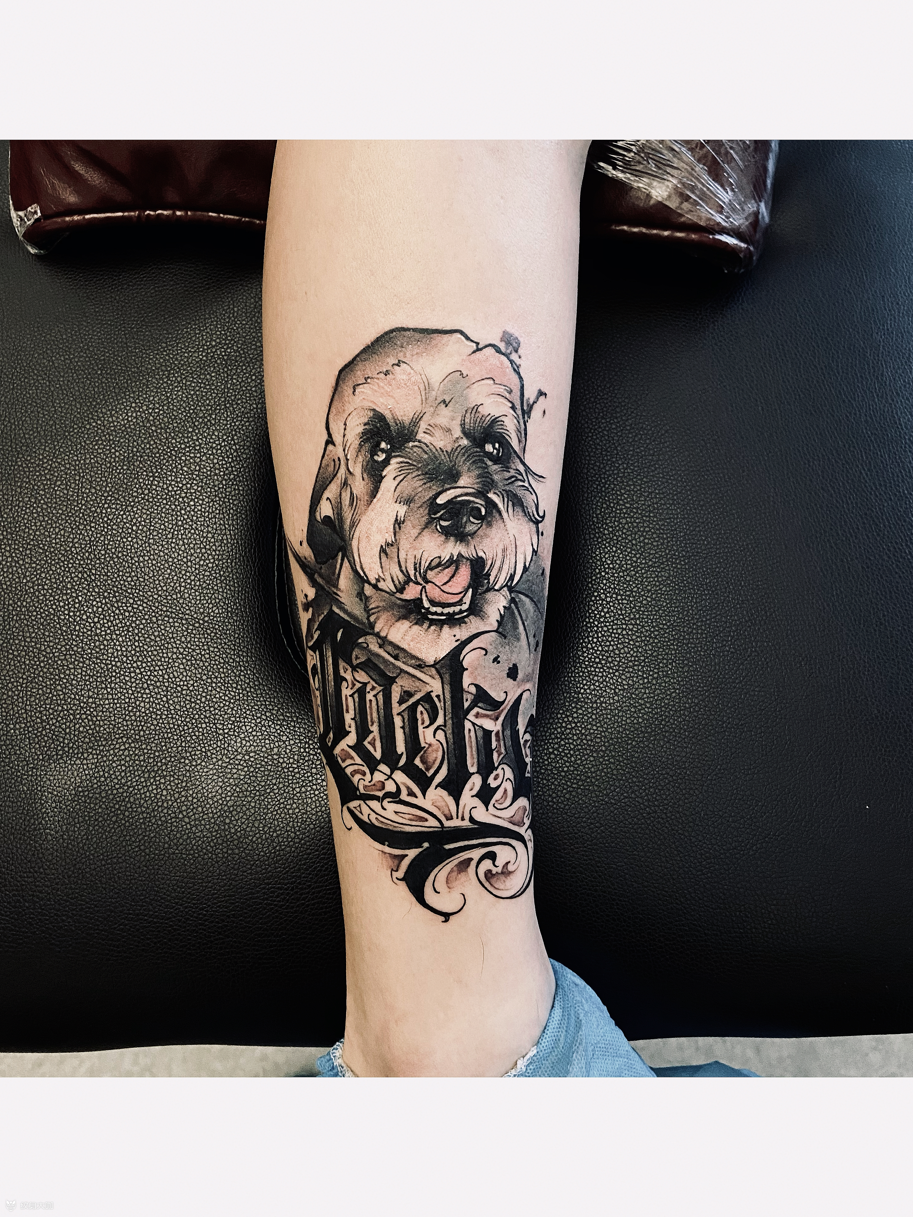 宠物纹身