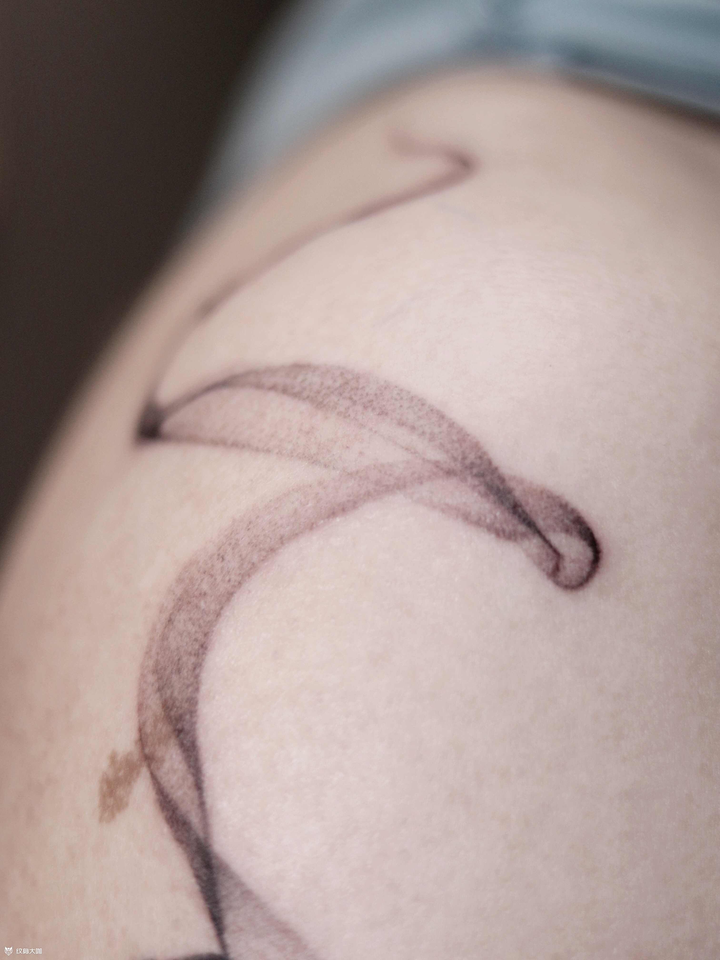 烟雾7515烟雾缭绕 仙气儿飘然_纹身吧社区 - 纹身大咖