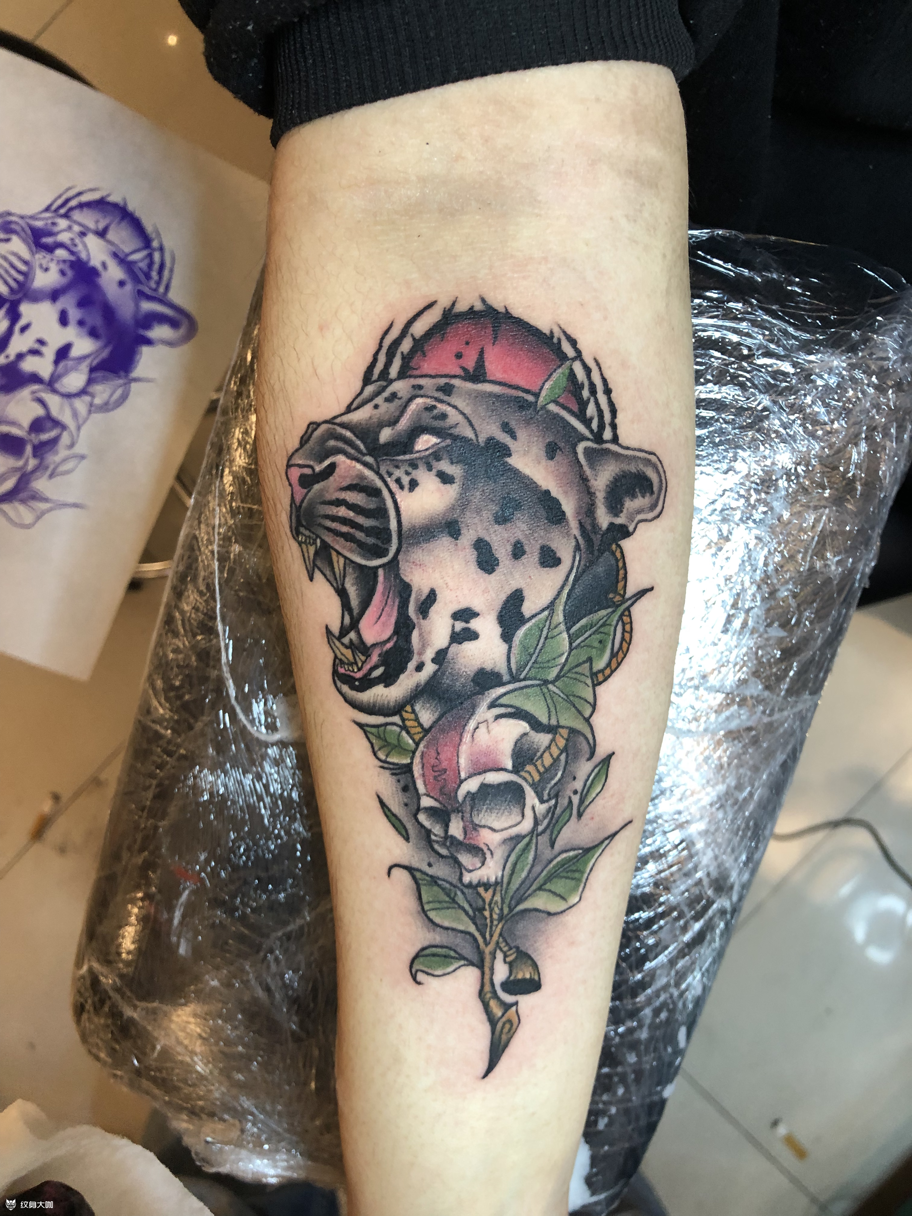 豹子_纹身图案手稿图片_李炎的纹身作品集