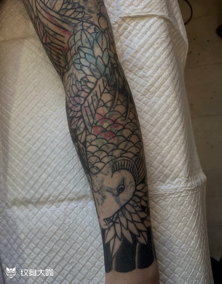 锦鲤掩盖花臂_纹身吧社区 - 纹身大咖