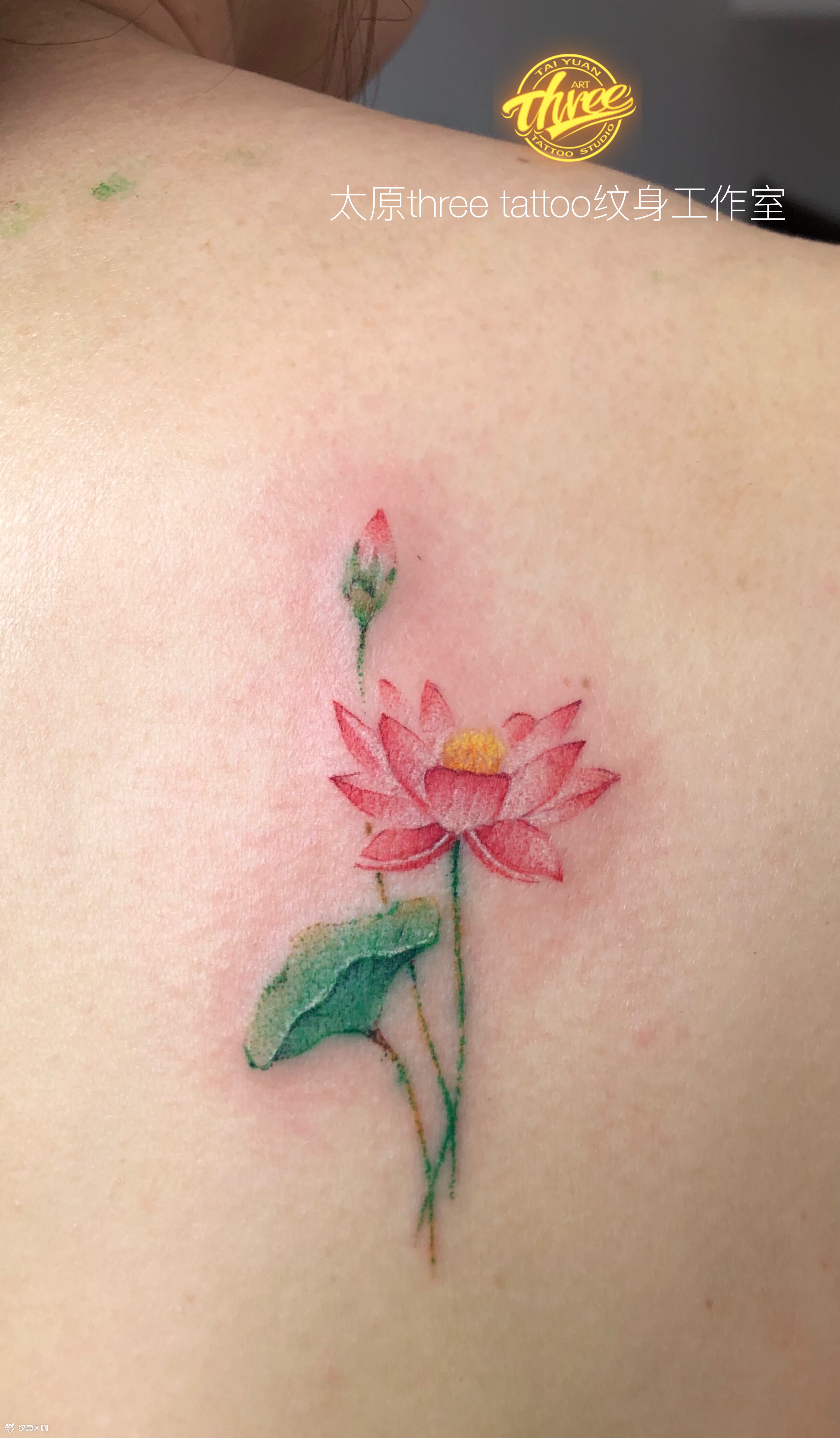 荷花_纹身图案手稿图片_阎鸿的纹身作品集