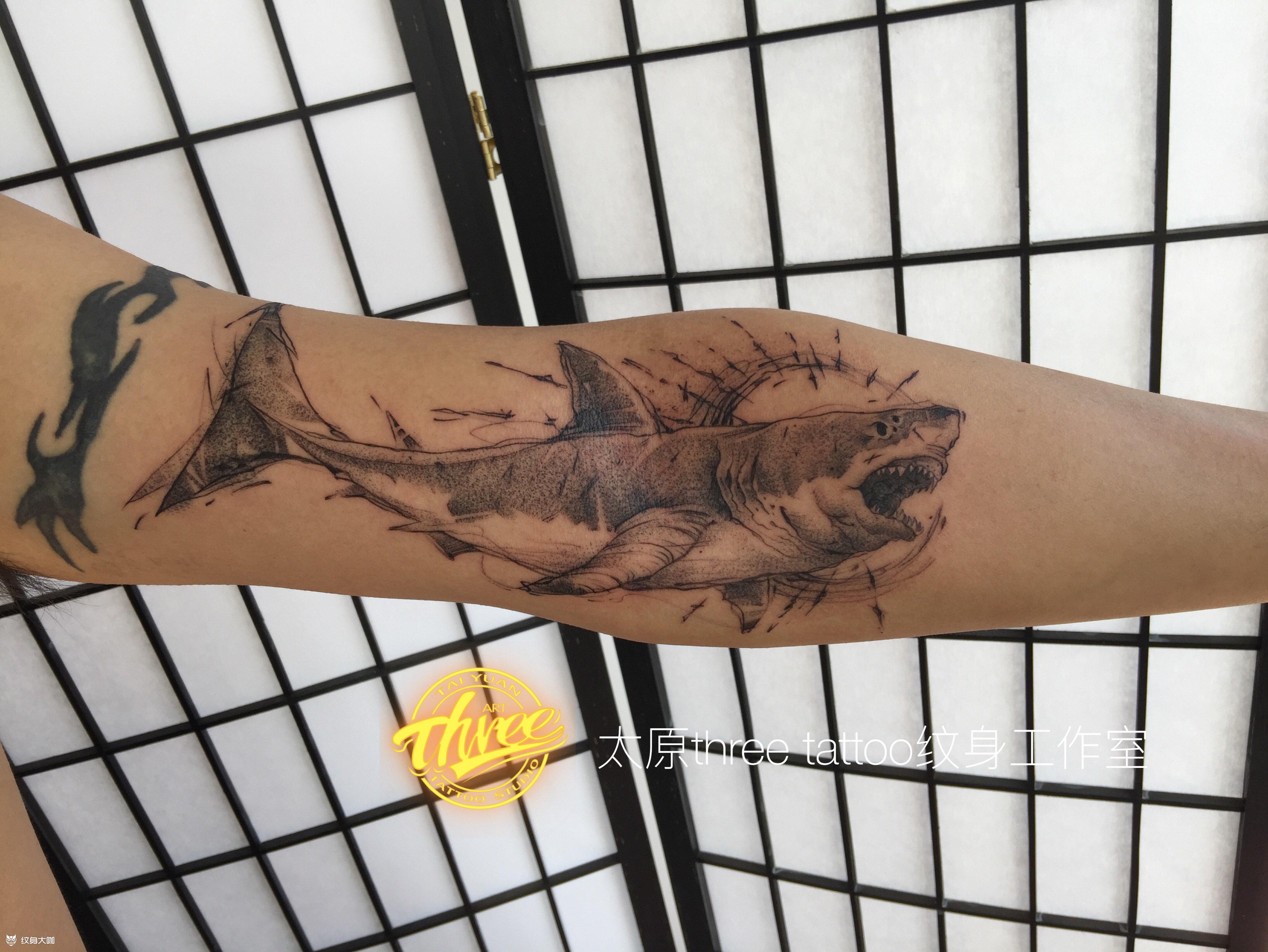 暗黑风鲨鱼_纹身图案手稿图片_阎鸿的纹身作品集