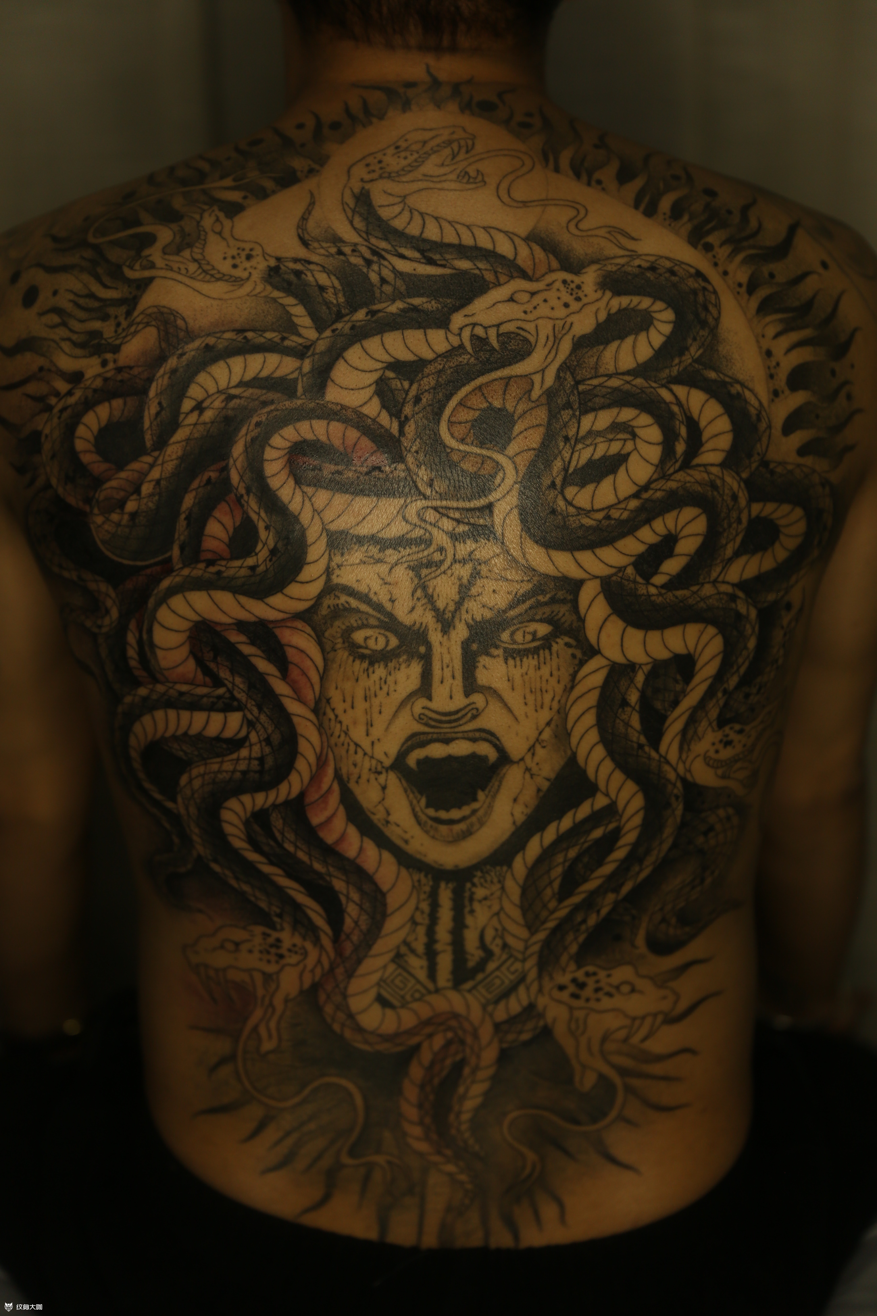 满背美杜莎完成倒计时开始