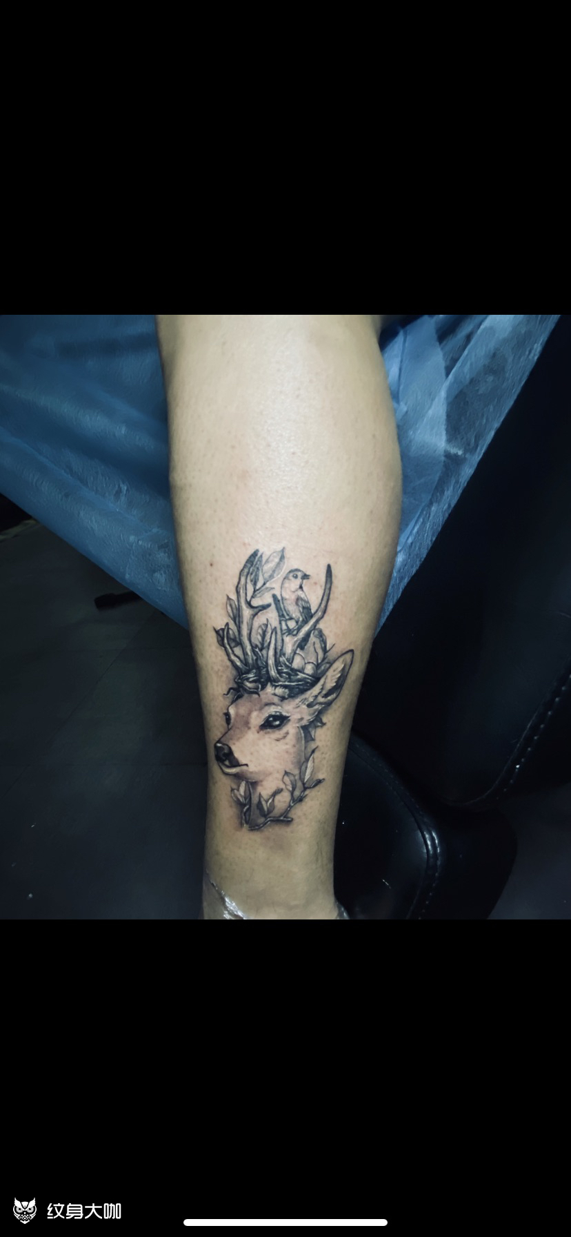 鹿头_纹身图案手稿图片_三个石头的纹身作品集