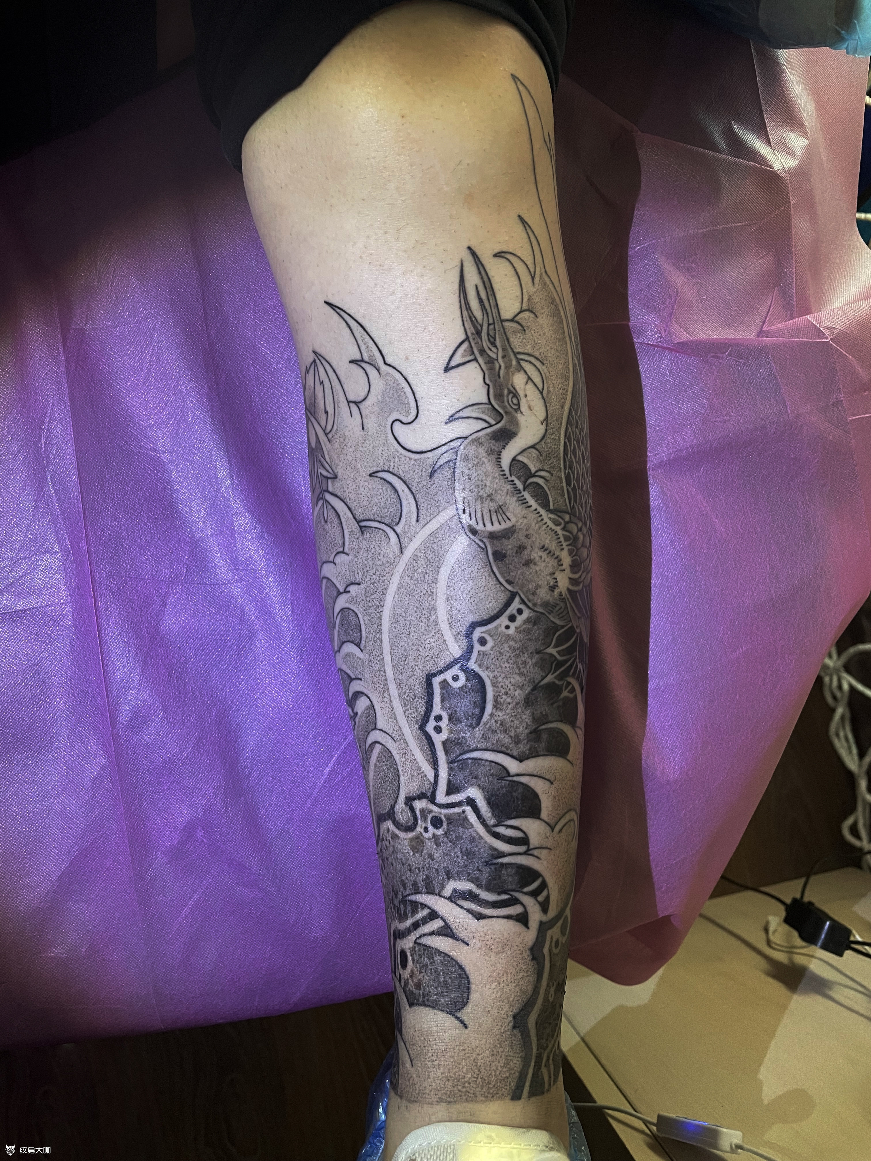 仙鹤花腿包小腿圆针打雾结痂未_纹身吧社区 - 纹身大咖
