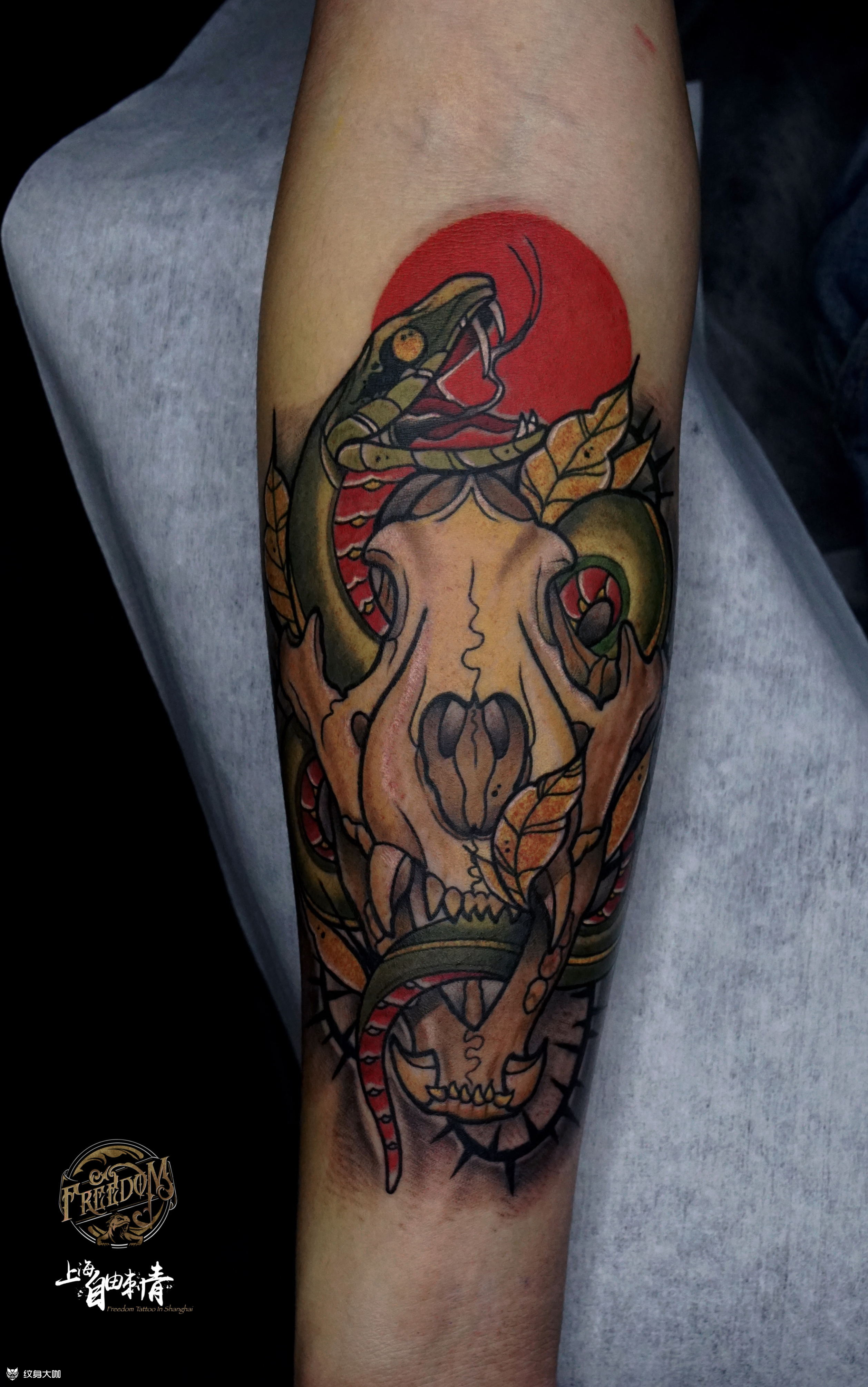 骷髅蛇_纹身图案手稿图片_自由的纹身作品集