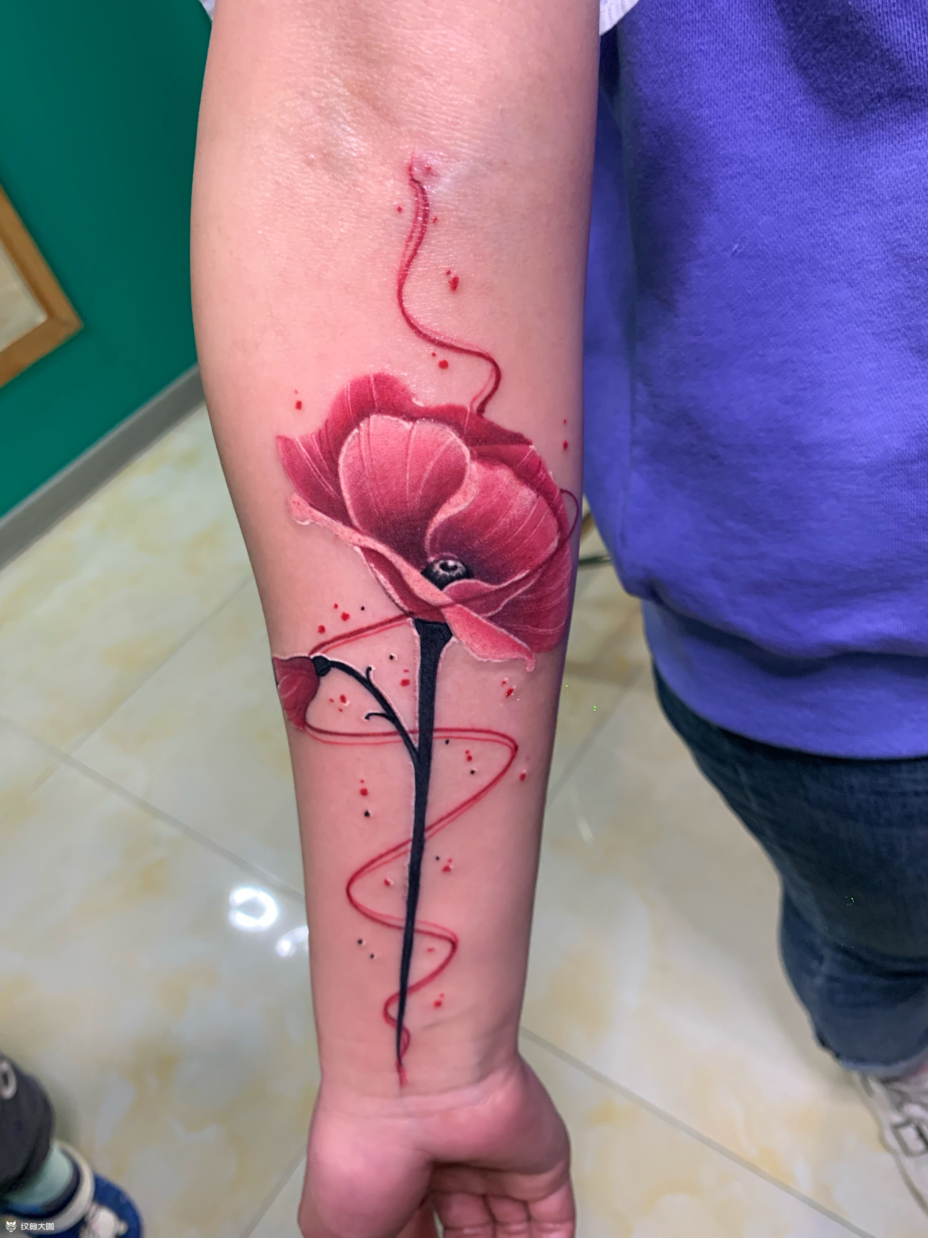 罂粟花_纹身图案手稿图片_俊俏的纹身作品集