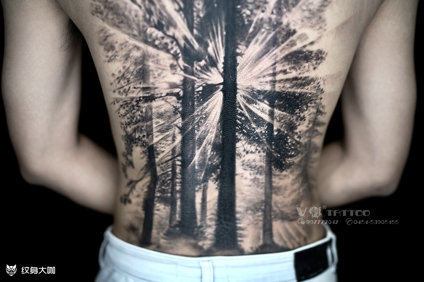 满背的男生大树纹身图片