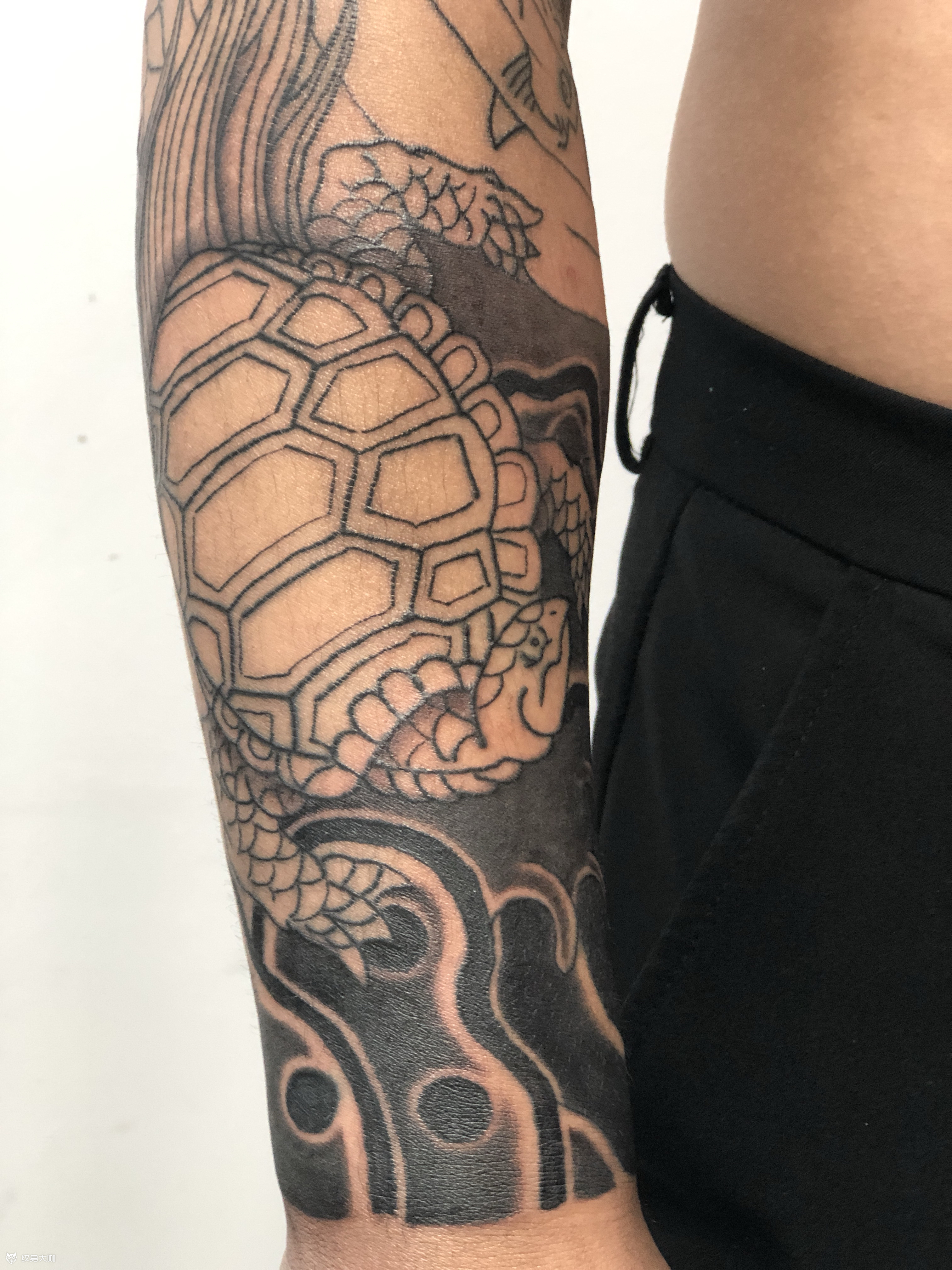 花臂龟_纹身吧社区 - 纹身大咖