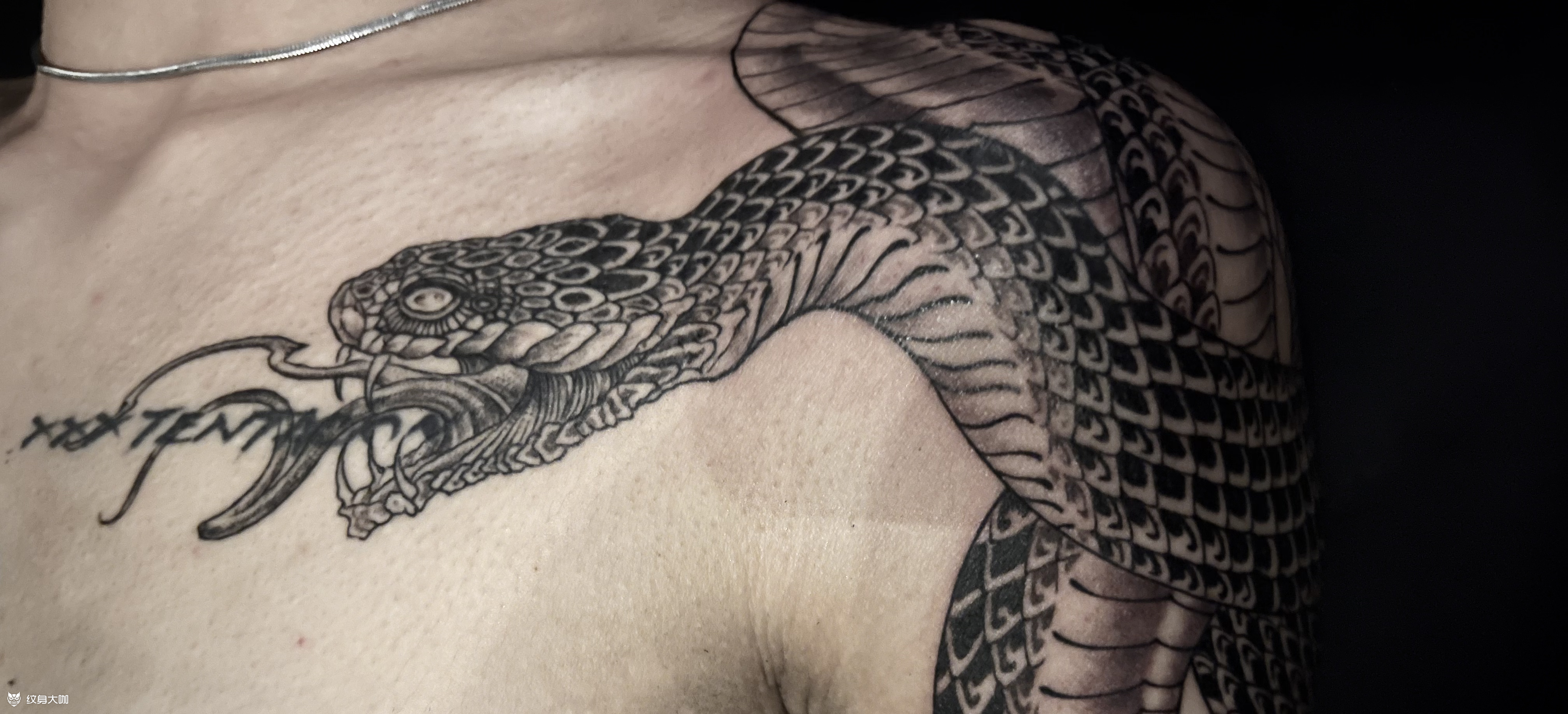 蛇97客带稿 位置特殊所以全_纹身吧社区 - 纹身大咖
