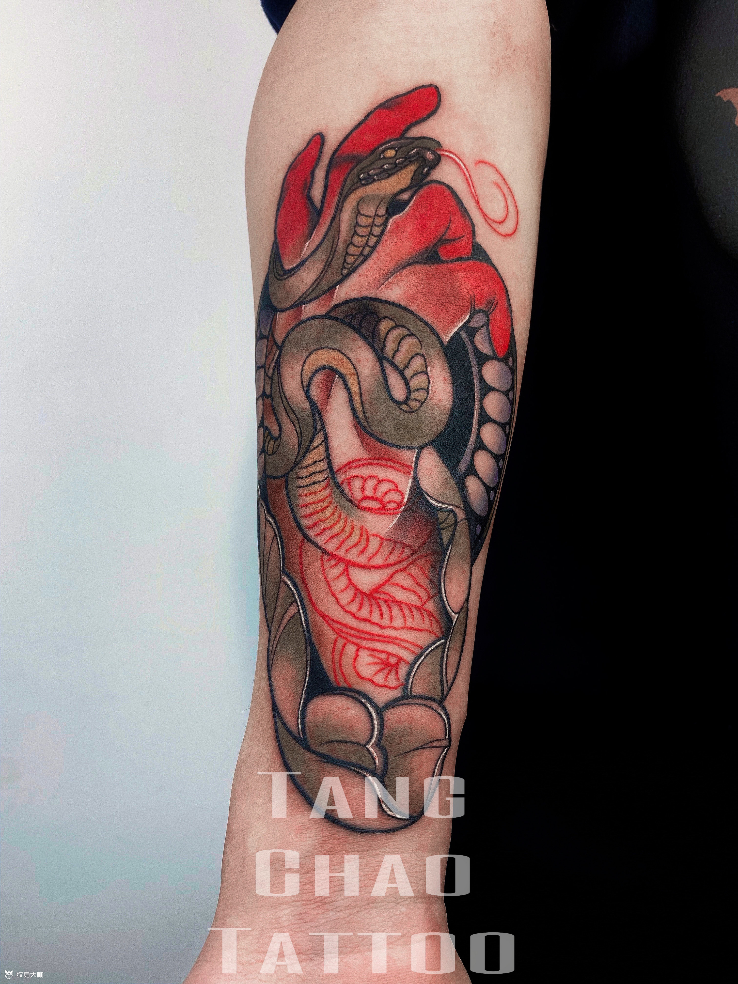 蛇手_纹身吧社区 - 纹身大咖
