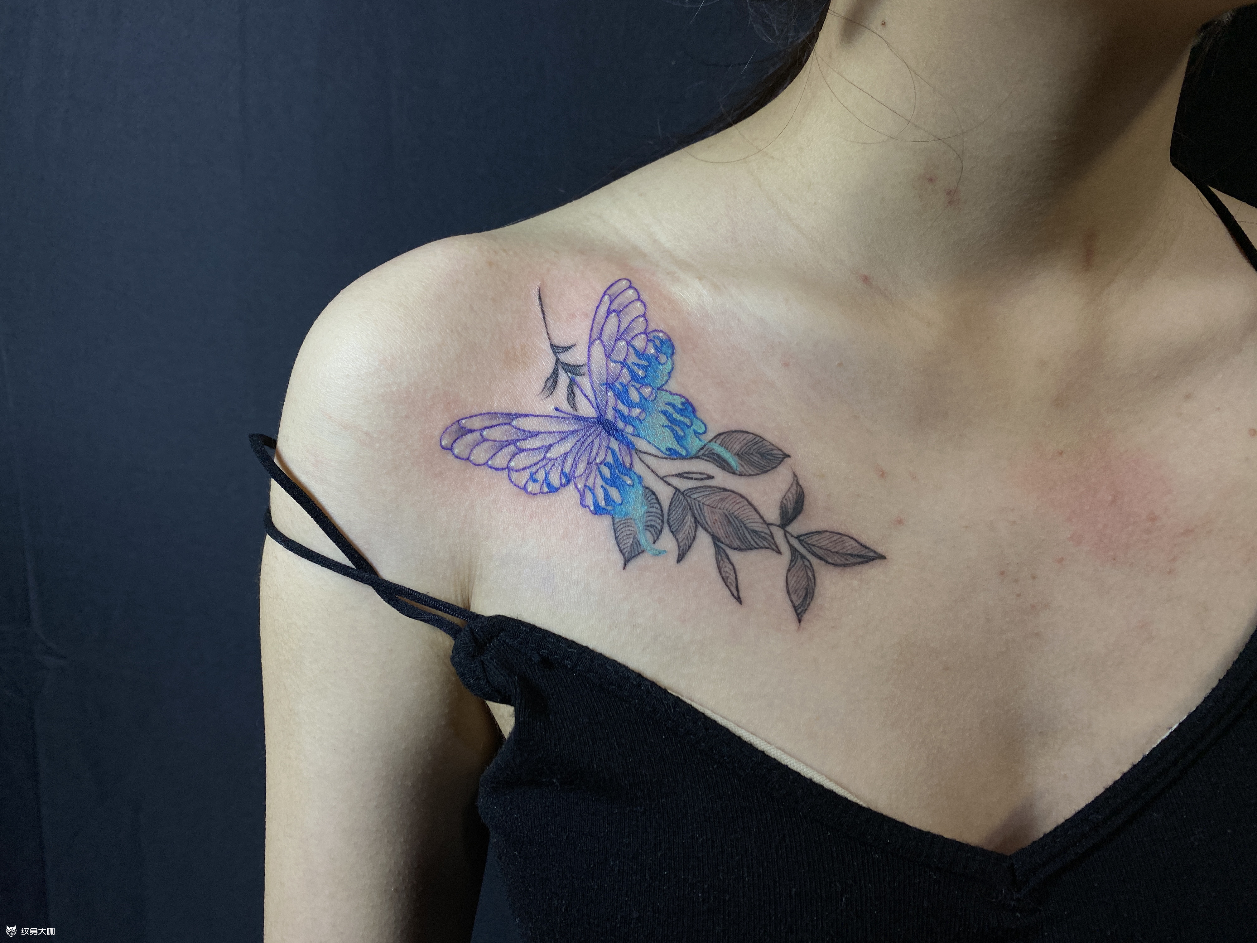 锁骨蝴蝶_纹身吧社区 - 纹身大咖