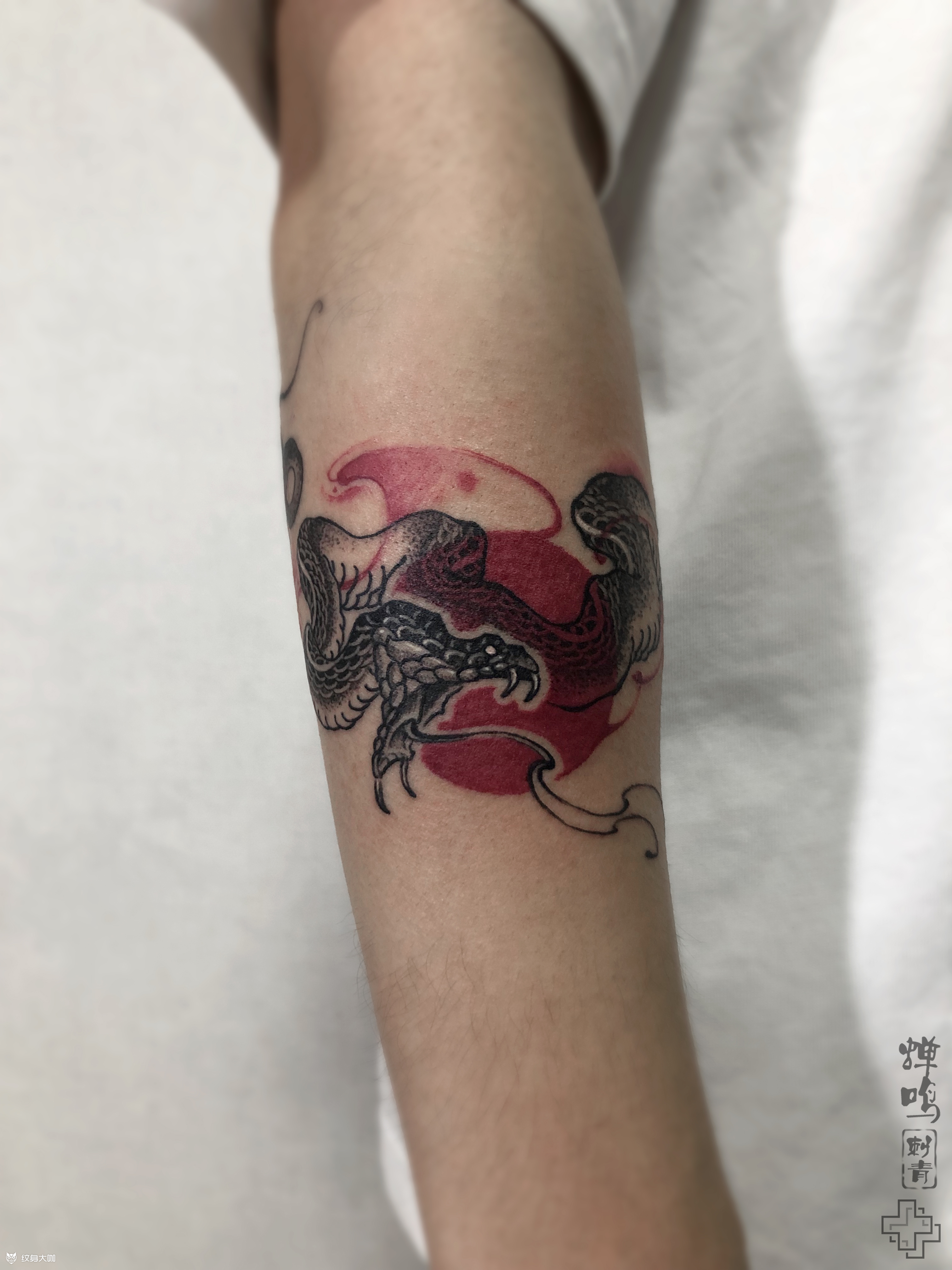 小蛇臂环_纹身图案手稿图片_7777的纹身作品集