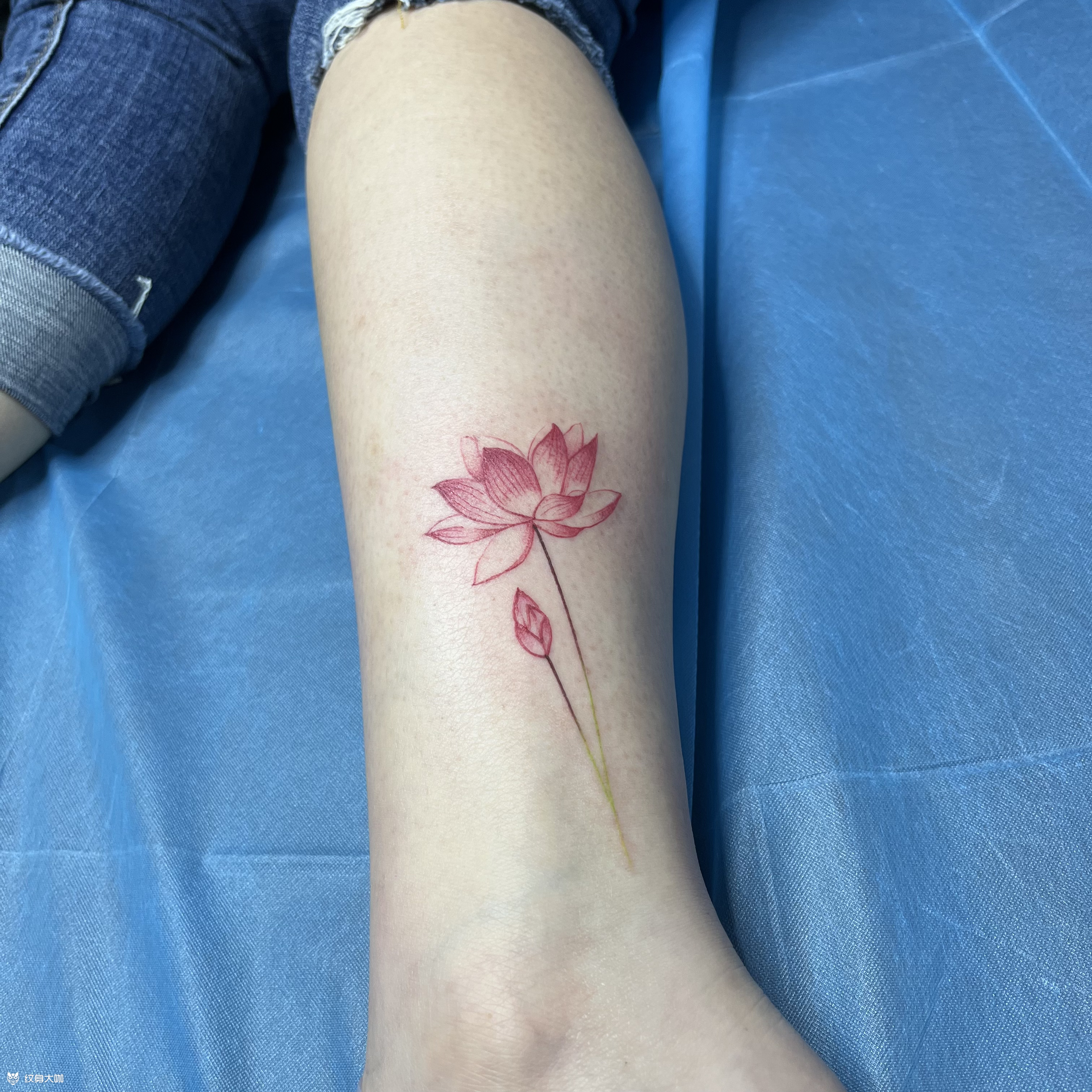 荷花_纹身图案手稿图片_雕润的纹身作品集
