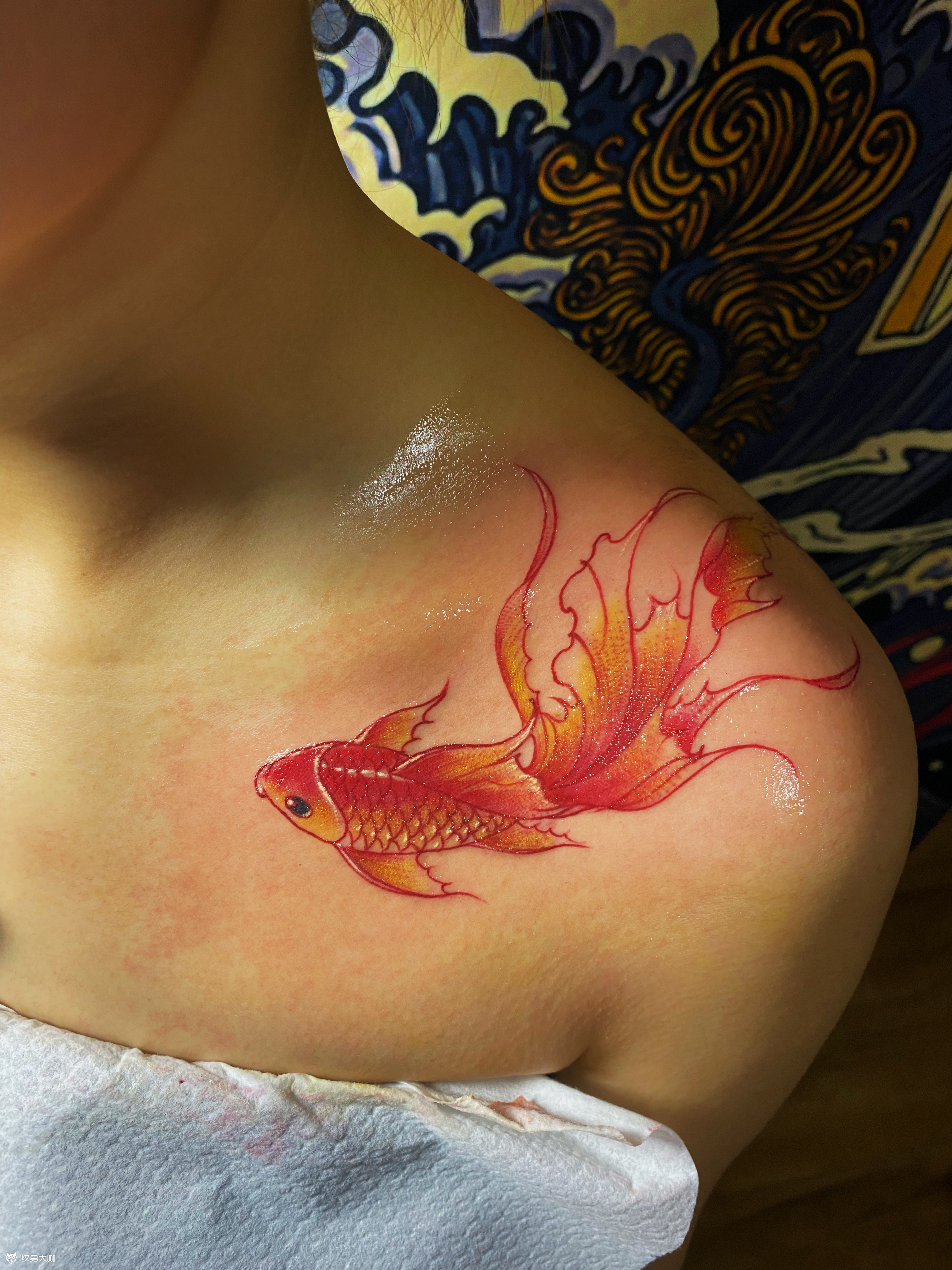小金鱼_纹身图案手稿图片_葛树杰1的纹身作品集