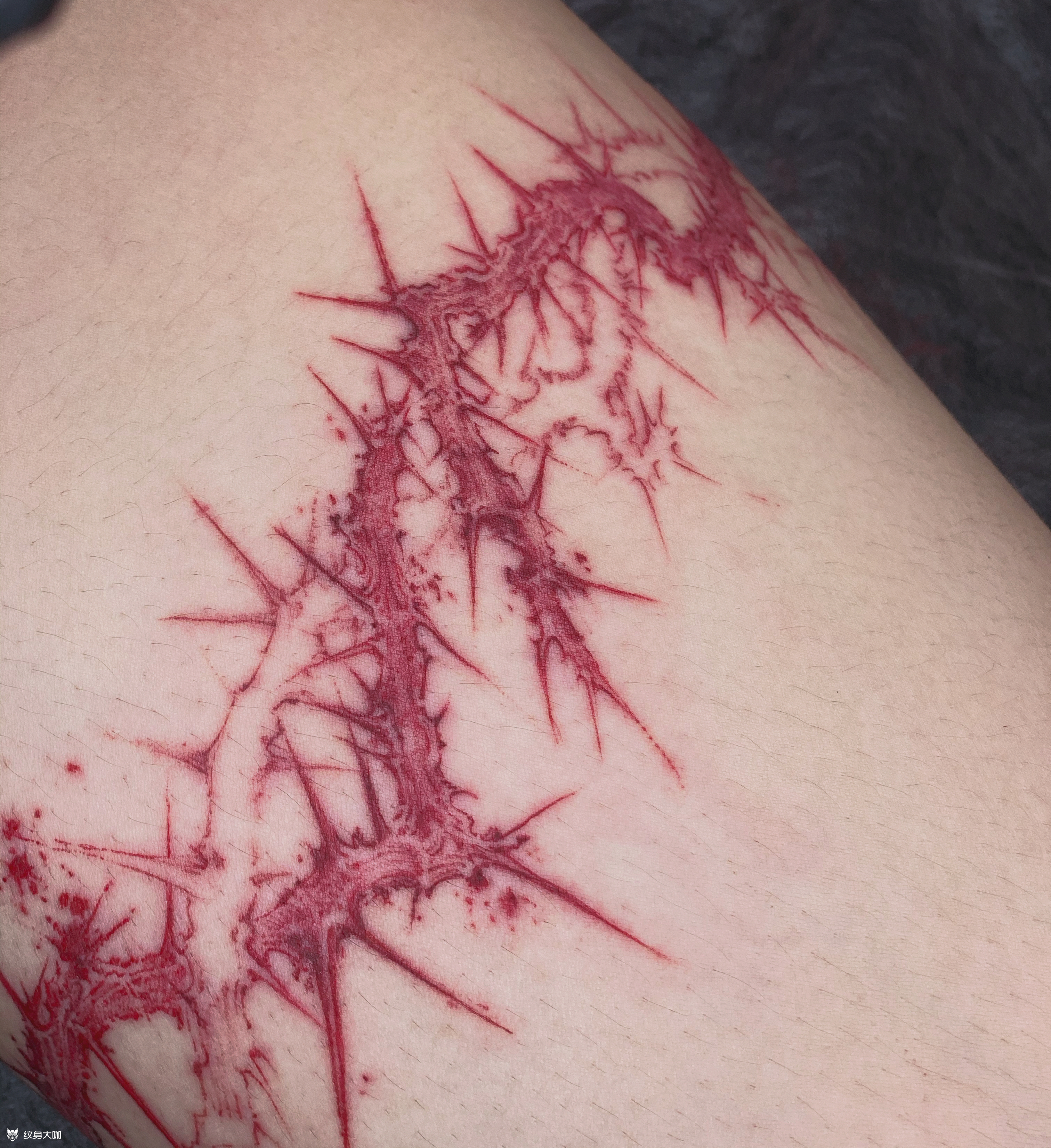 少女的荆棘_纹身图案手稿图片_june钧一的纹身作品集