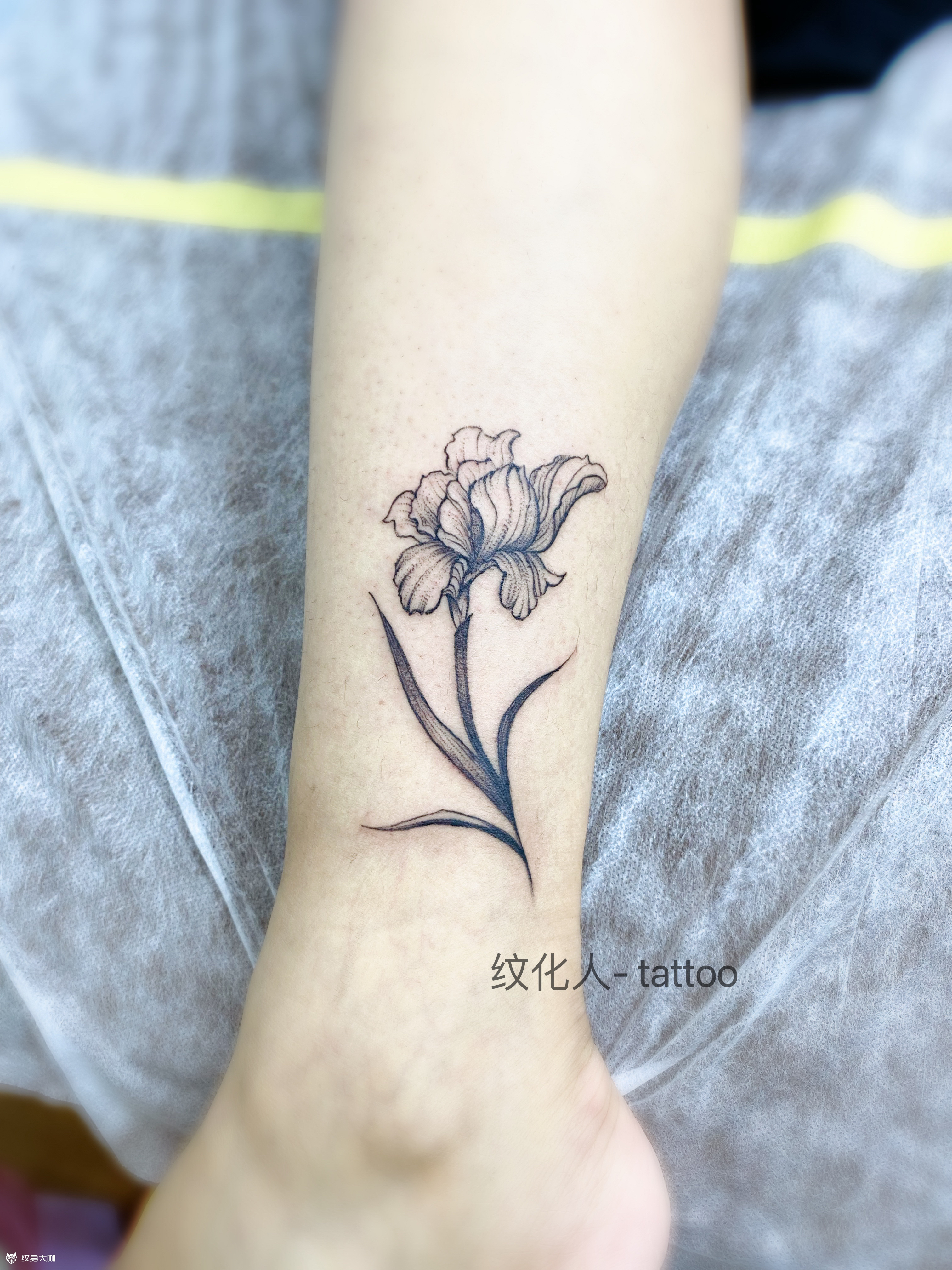 鸢尾_纹身图案手稿图片_纹化人的纹身作品集