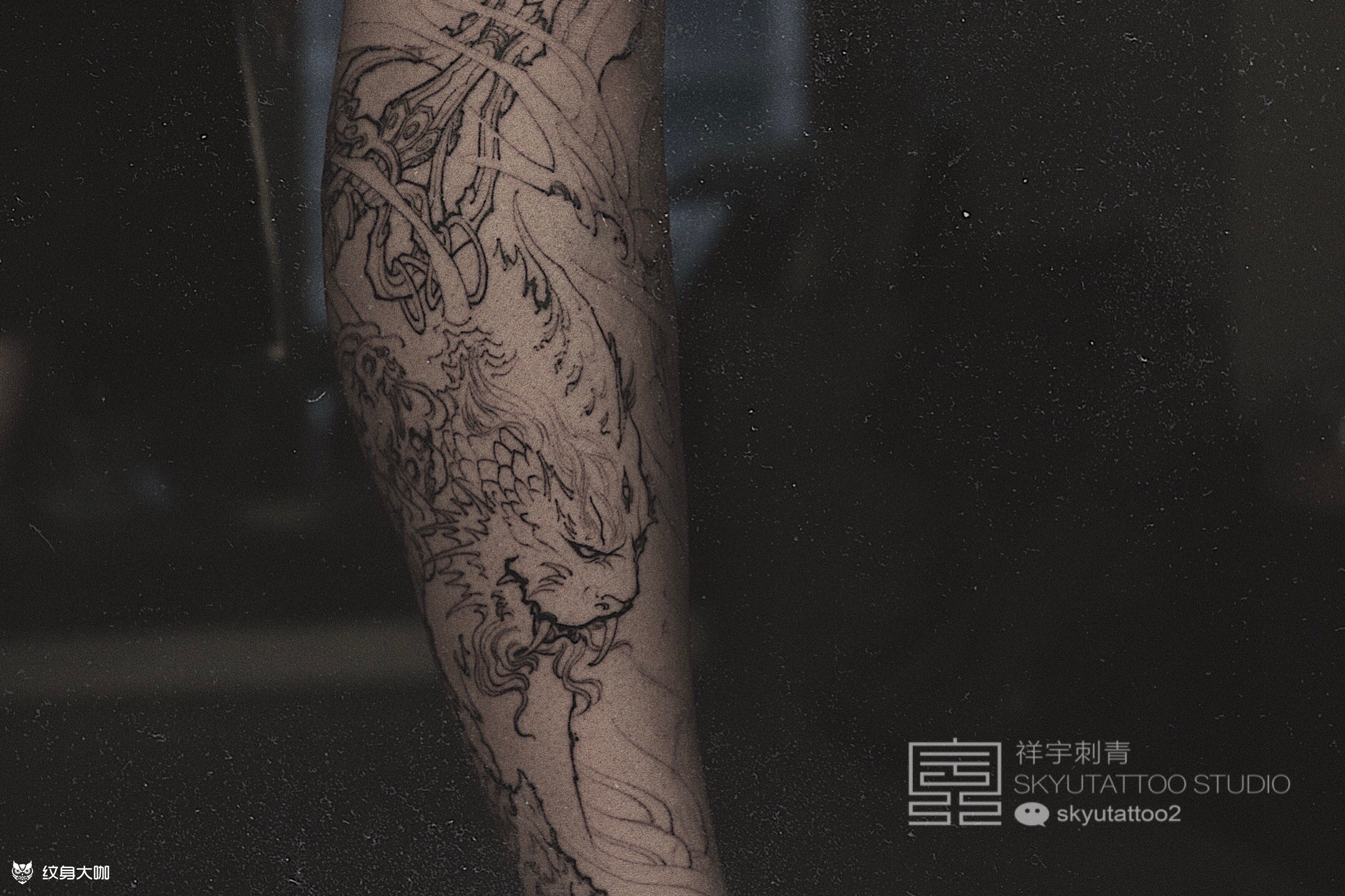 『谛听』线条.去年定制的彩色_纹身吧社区 - 纹身大咖