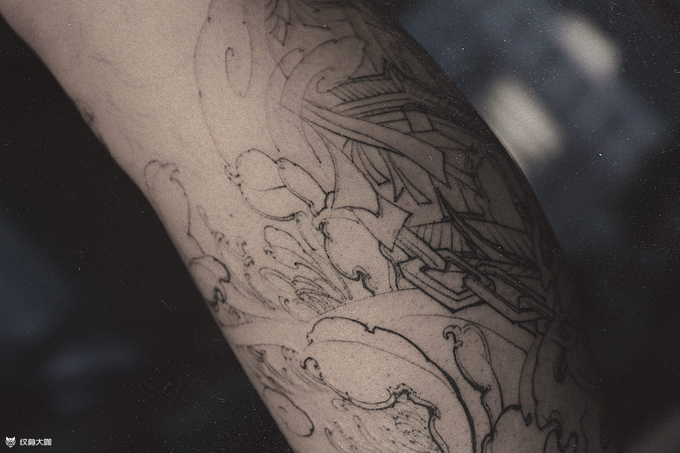 『谛听』线条.去年定制的彩色_纹身吧社区 - 纹身大咖